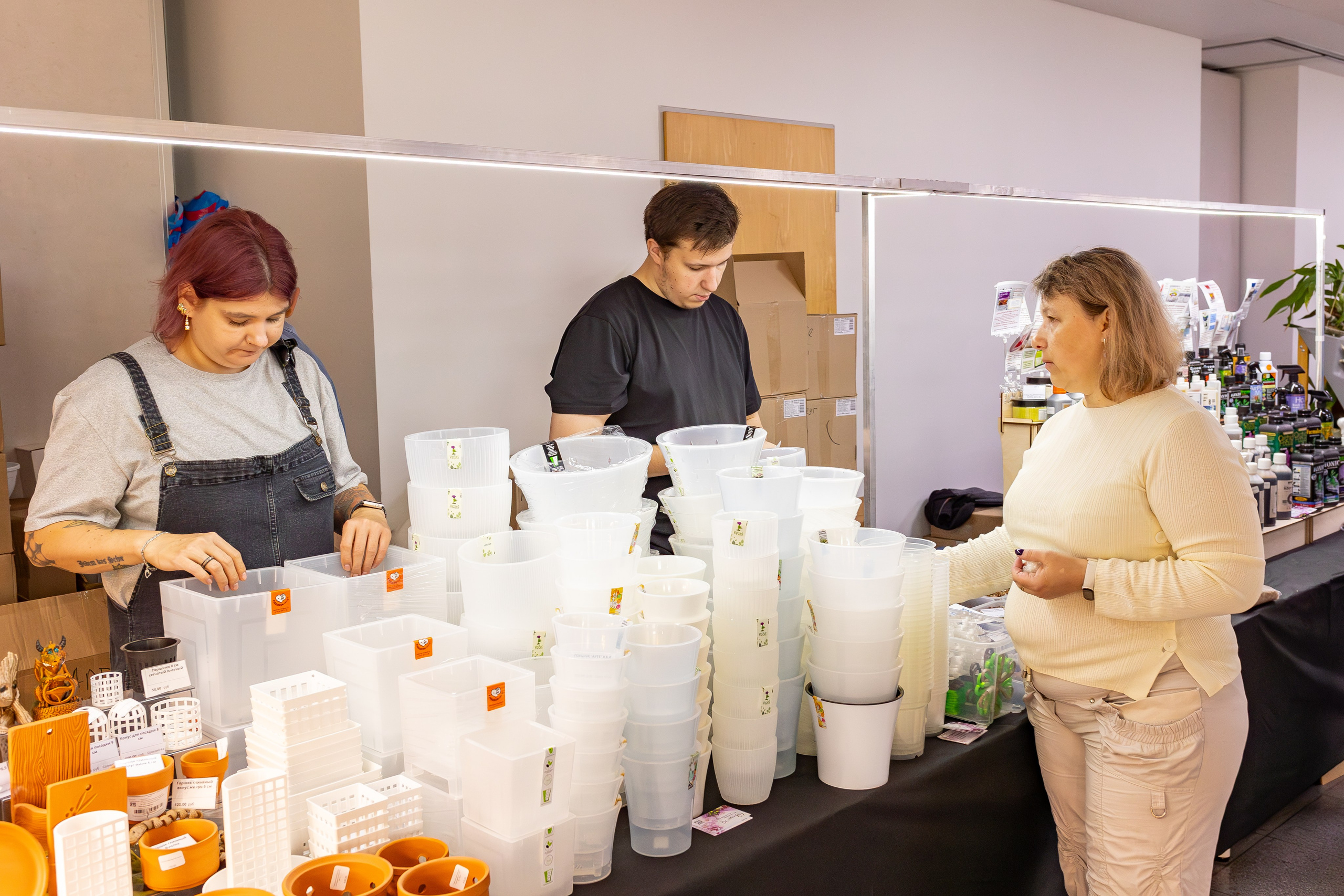 Орхидиум сентябрь 2025. Александра Куликова фотограф, Москва