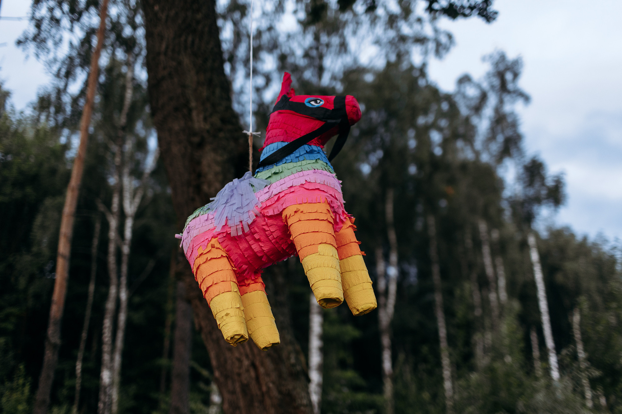 Мексика в Москве. Свадебный фотограф — Ефимов Сергей