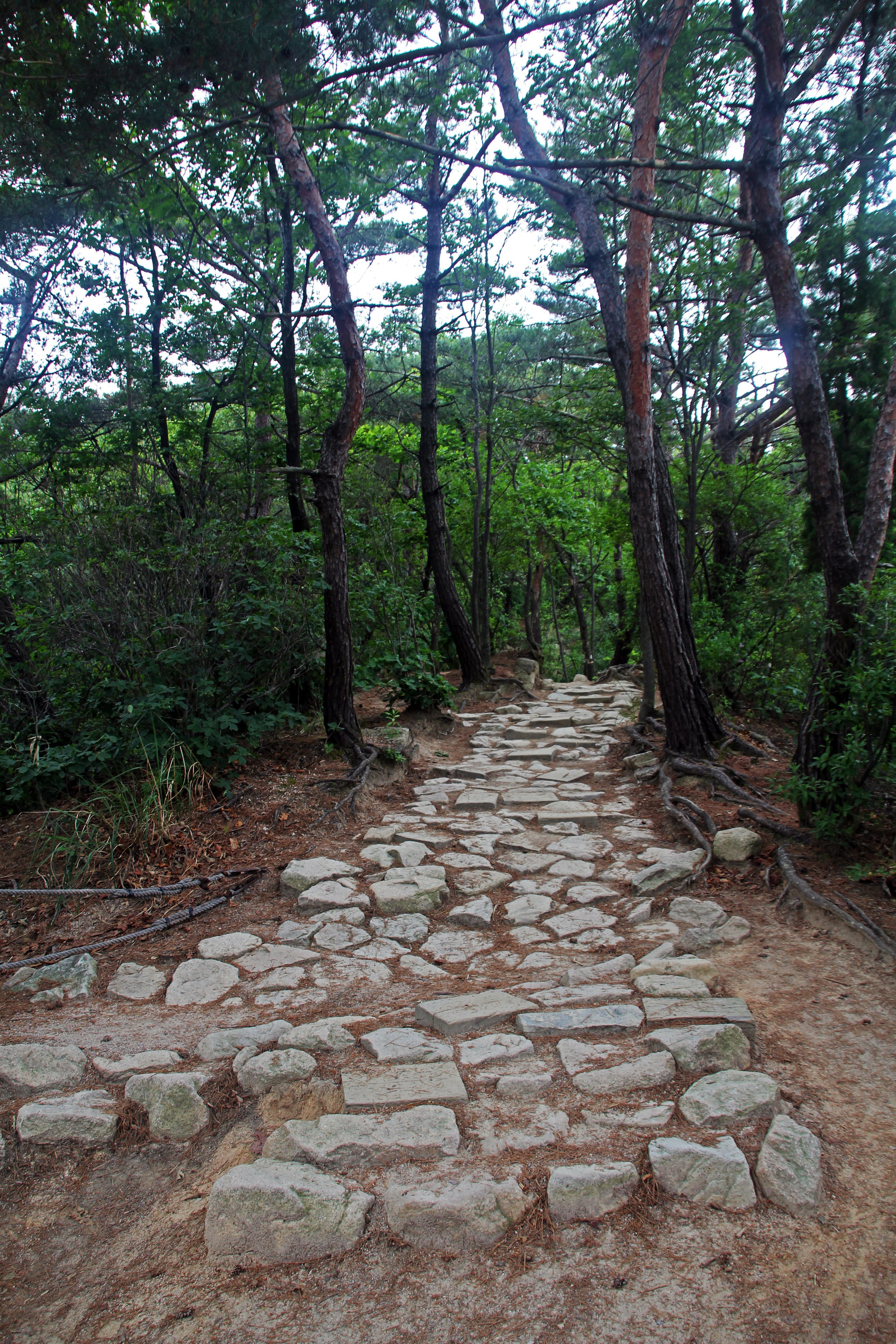 Южная Корея — Сеул. Фотограф Алексей Федорищев