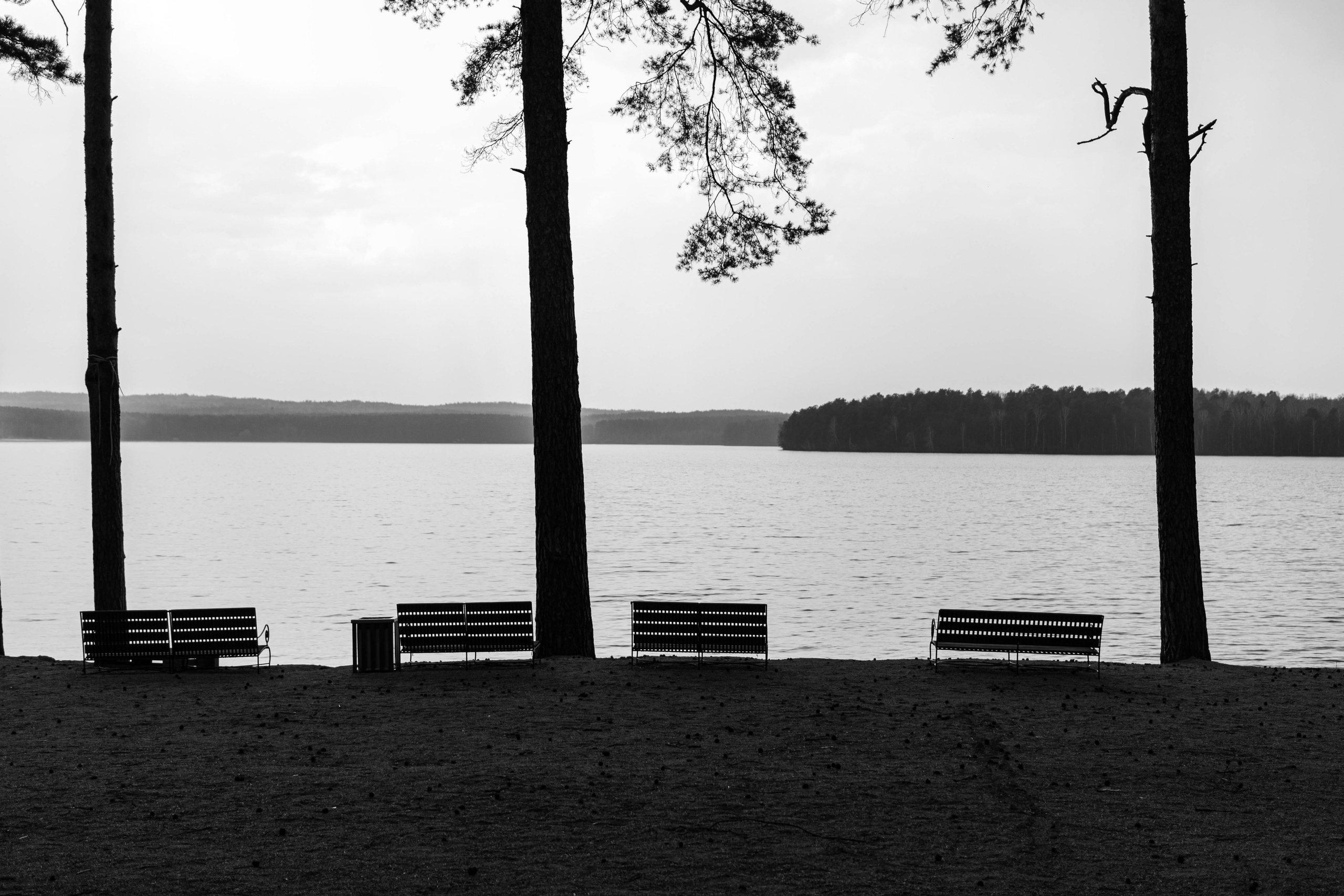 01. Свадебный фотограф Челябинск