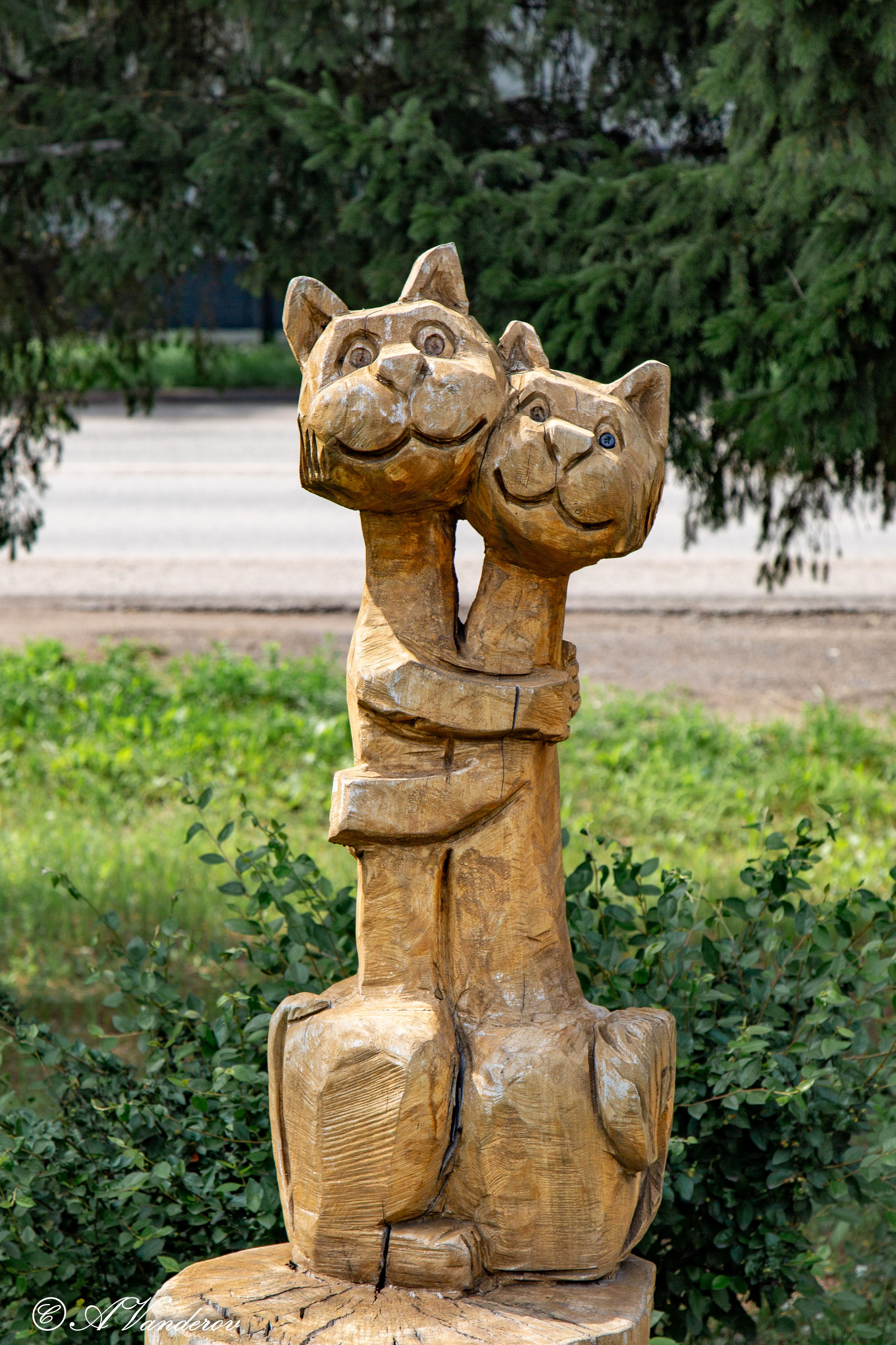 Калачинск 07.07.2024. Фотограф Омск | Александр Вандеров