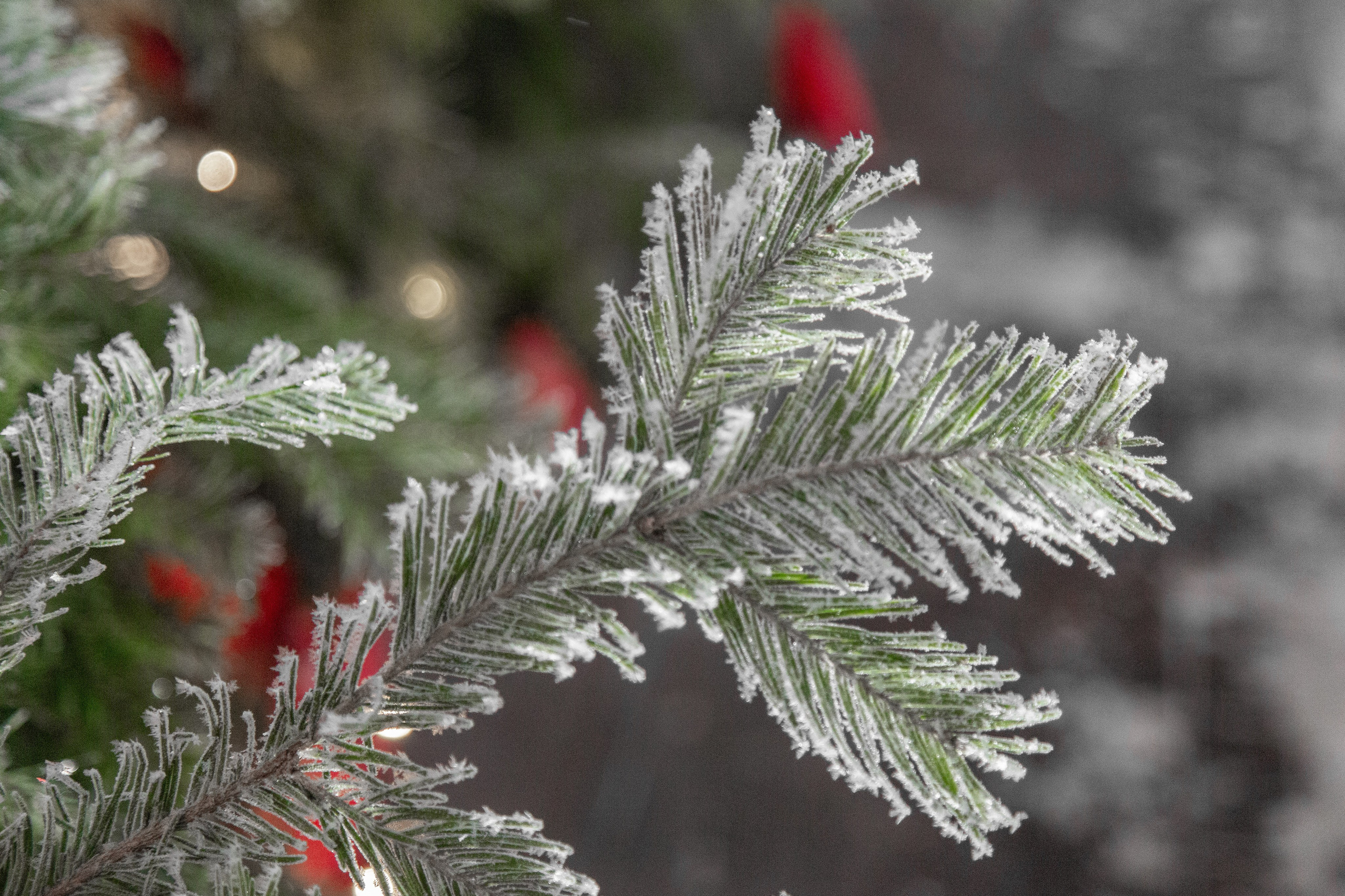 Новогодний Омск 2025. Фотограф Омск | Александр Вандеров