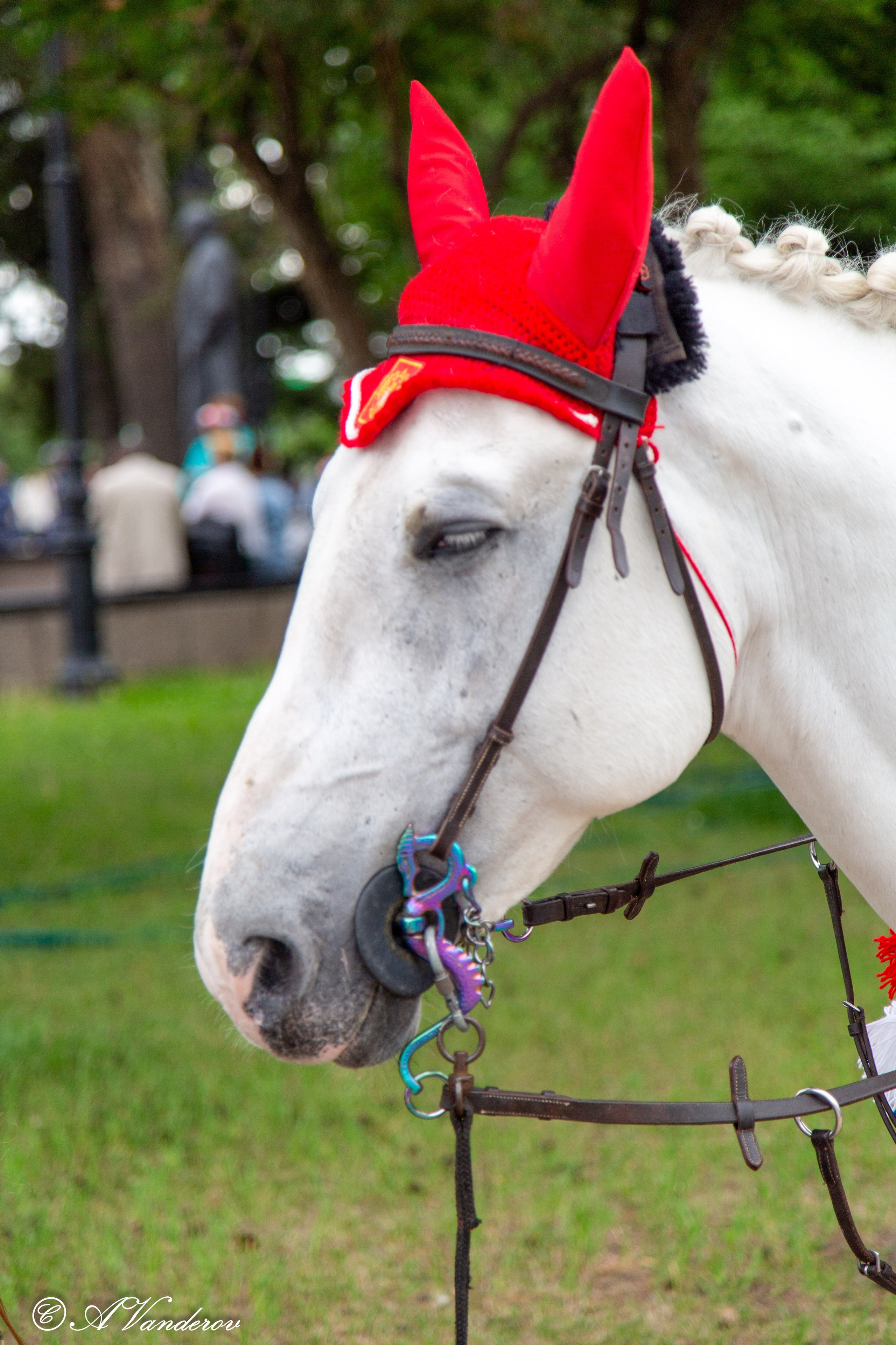 День России 12.06.2024. Фотограф Омск | Александр Вандеров