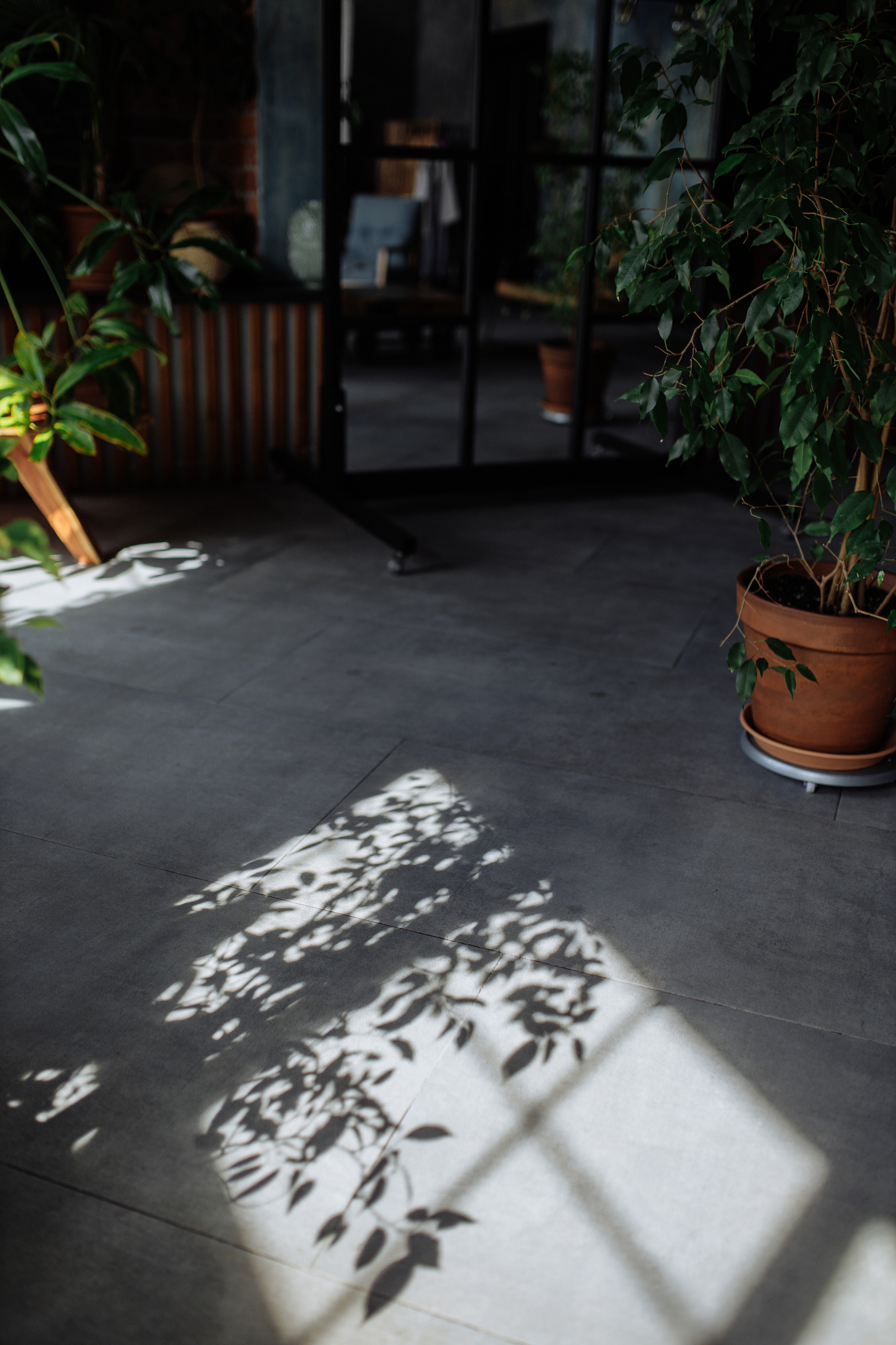 Для ландшафтного дизайнера