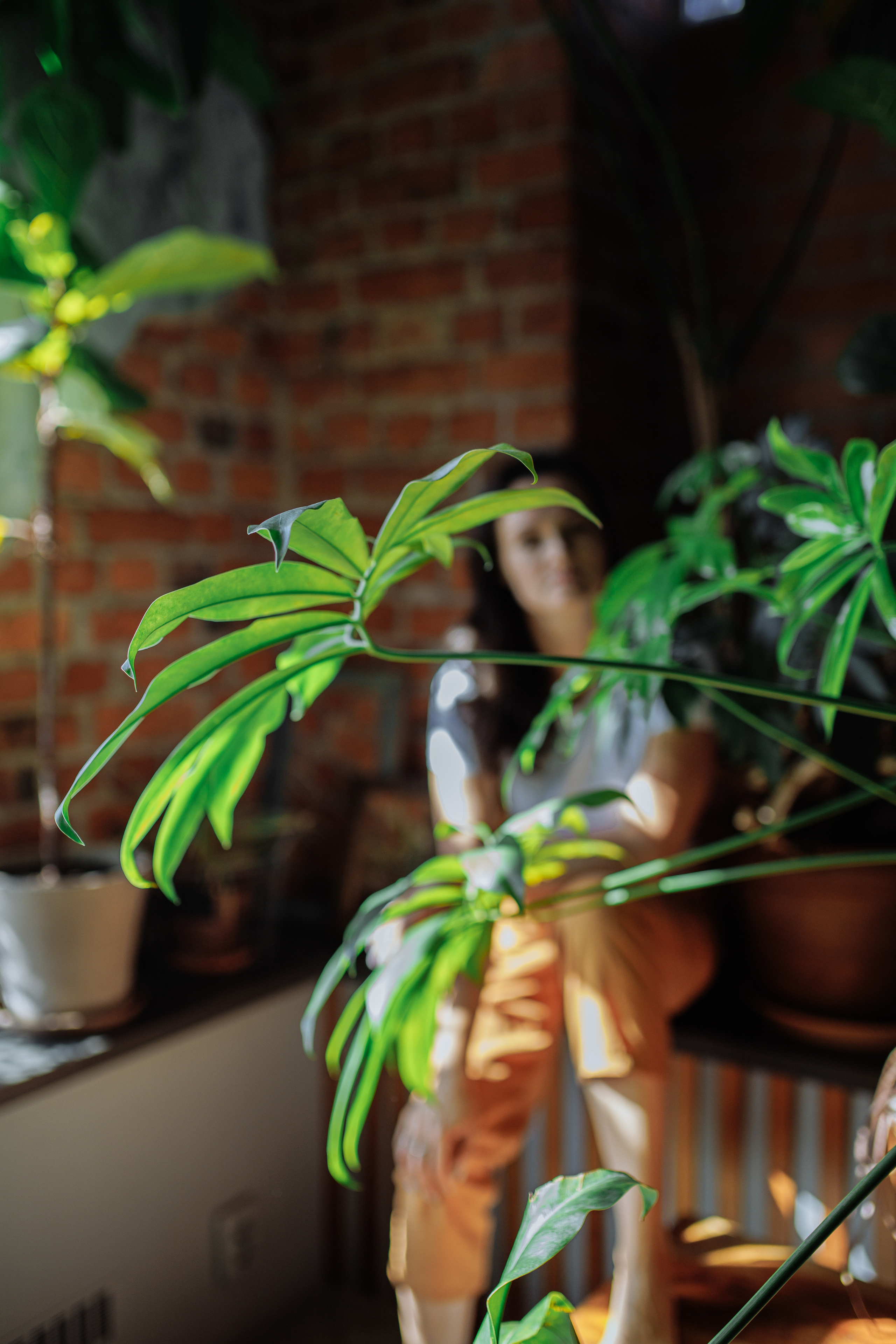 Для ландшафтного дизайнера