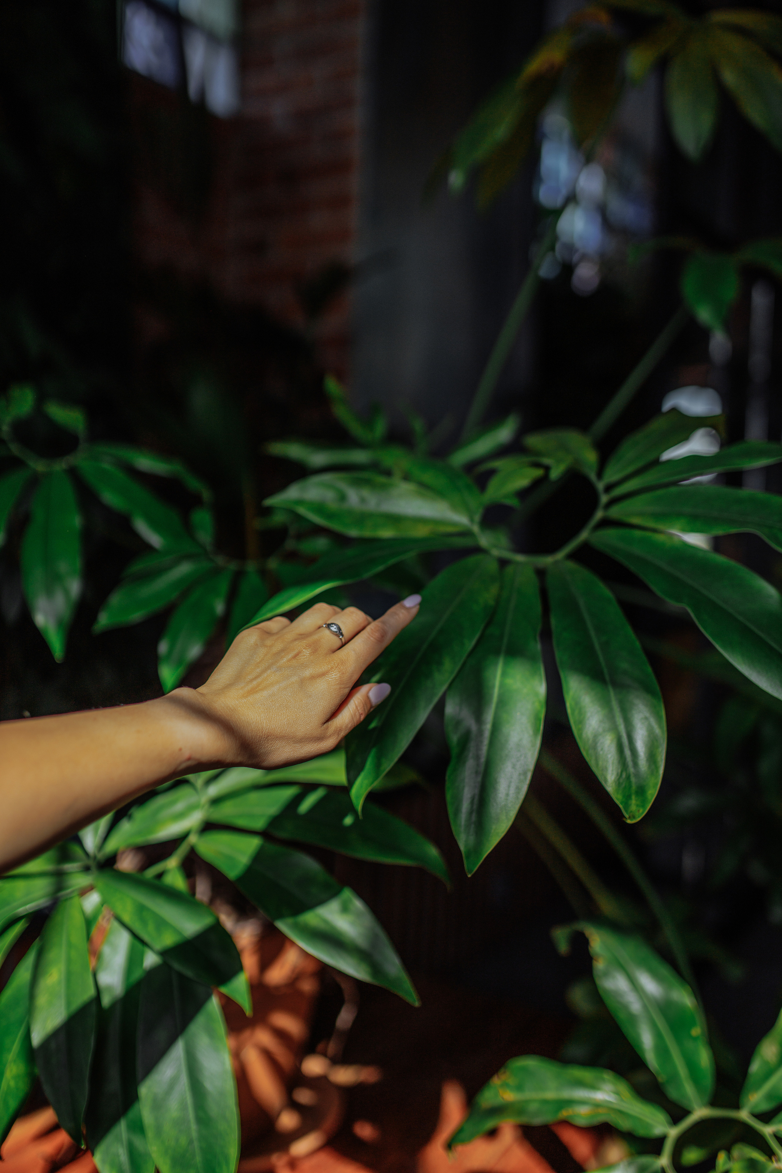 Для ландшафтного дизайнера