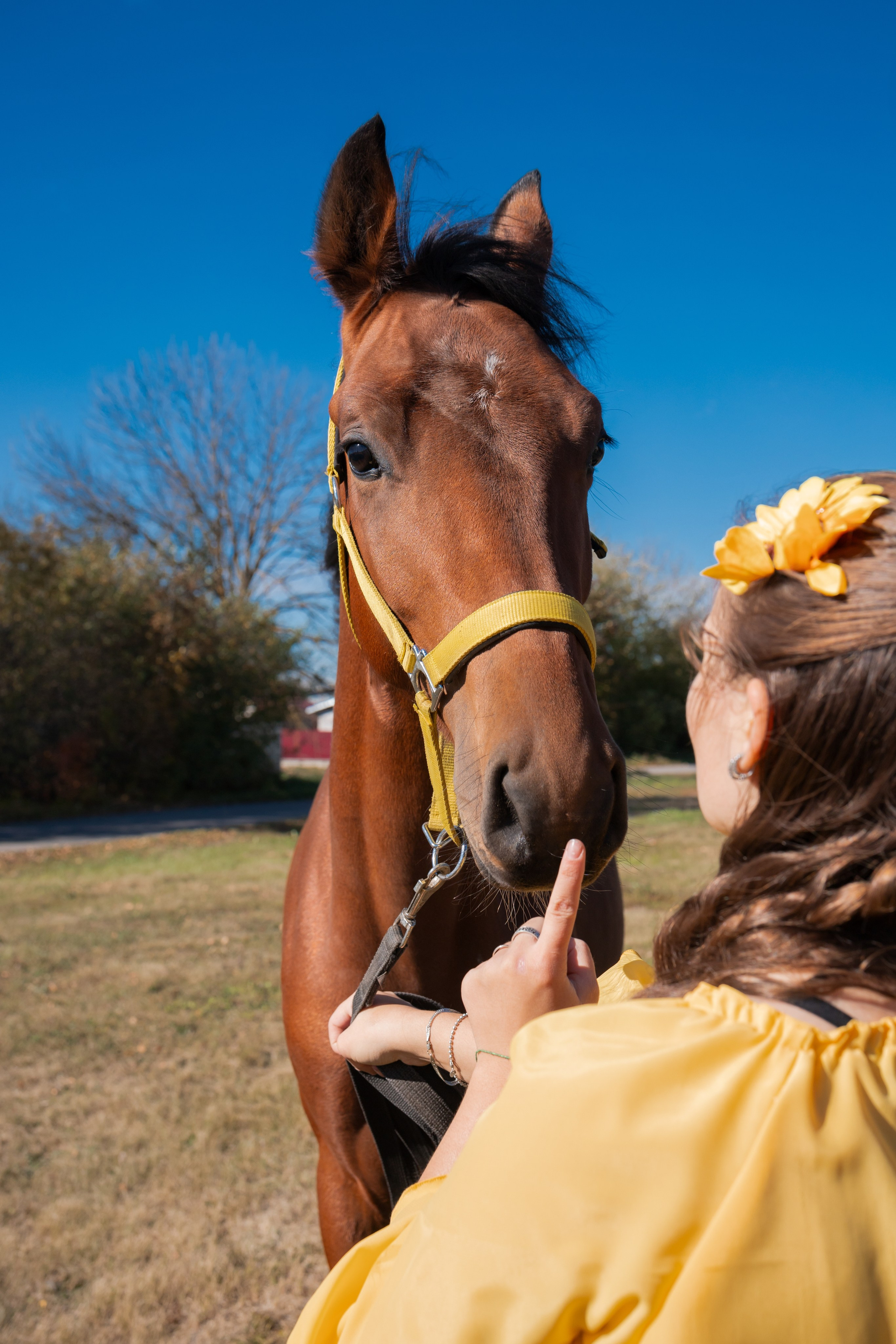 Фотосессия с лошадьми