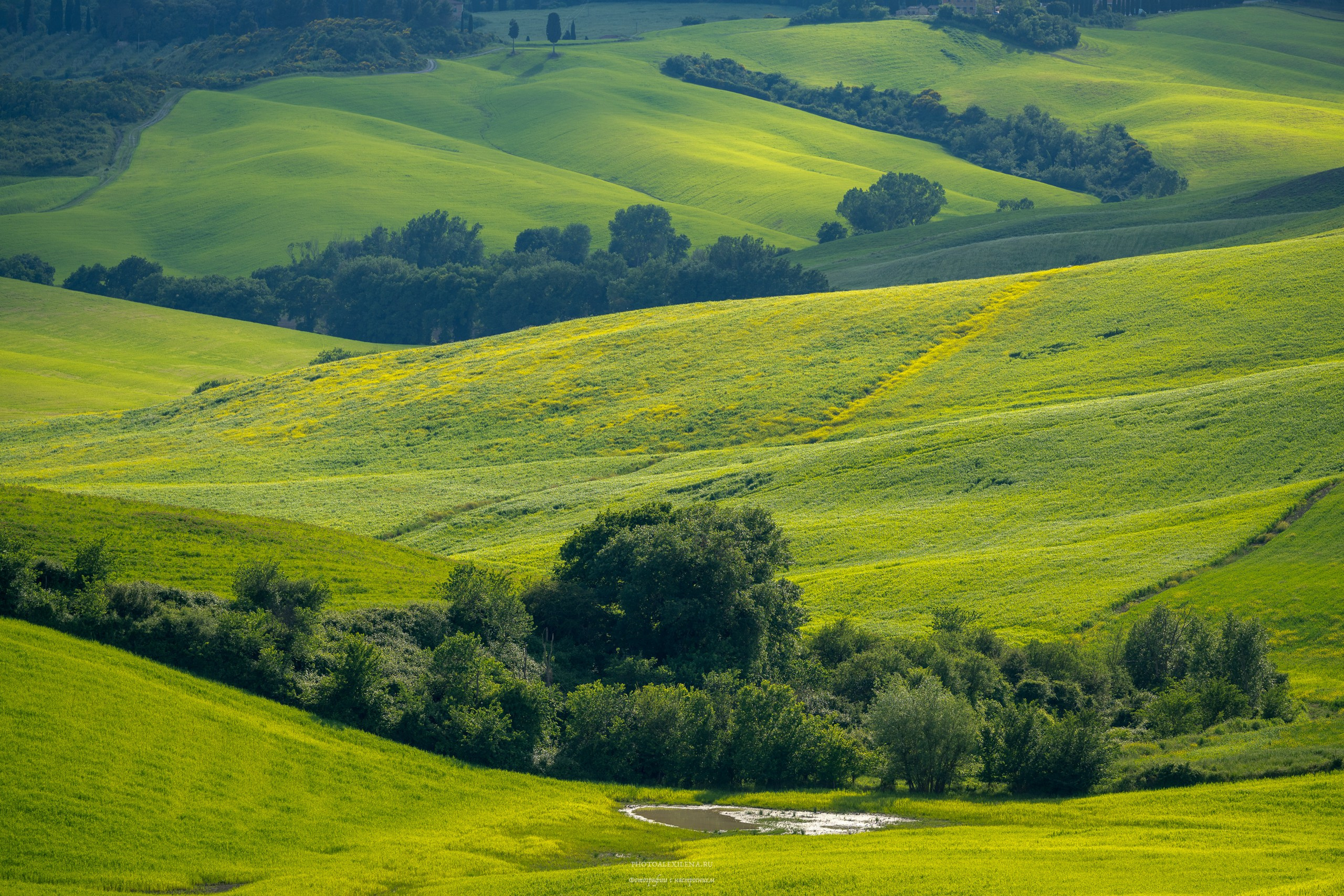 Долина Валь д’Орча-сердце Тосканы. Авторские стильные фотокартины