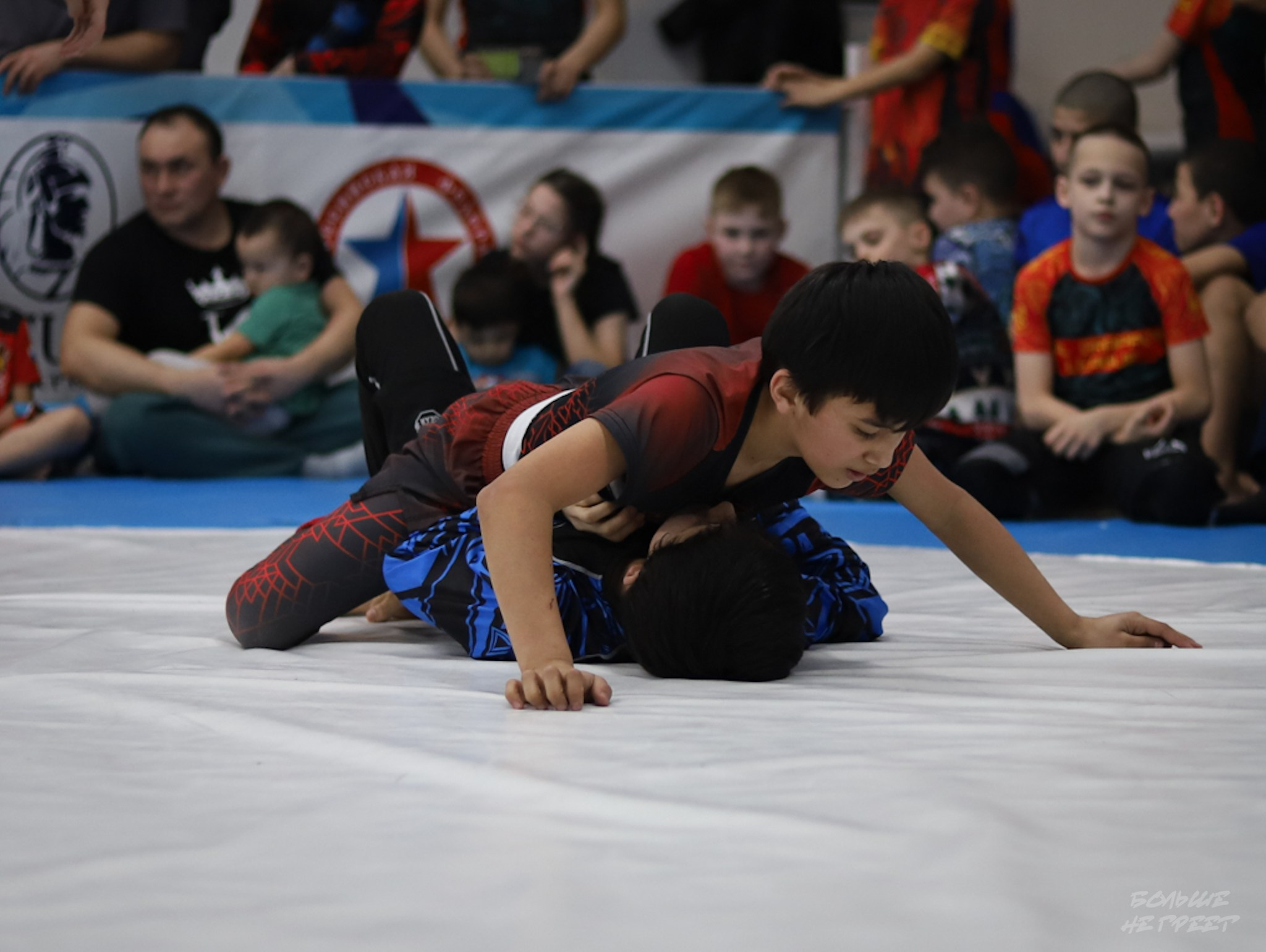 GORILLA PRIDE CUP. Больше не греет