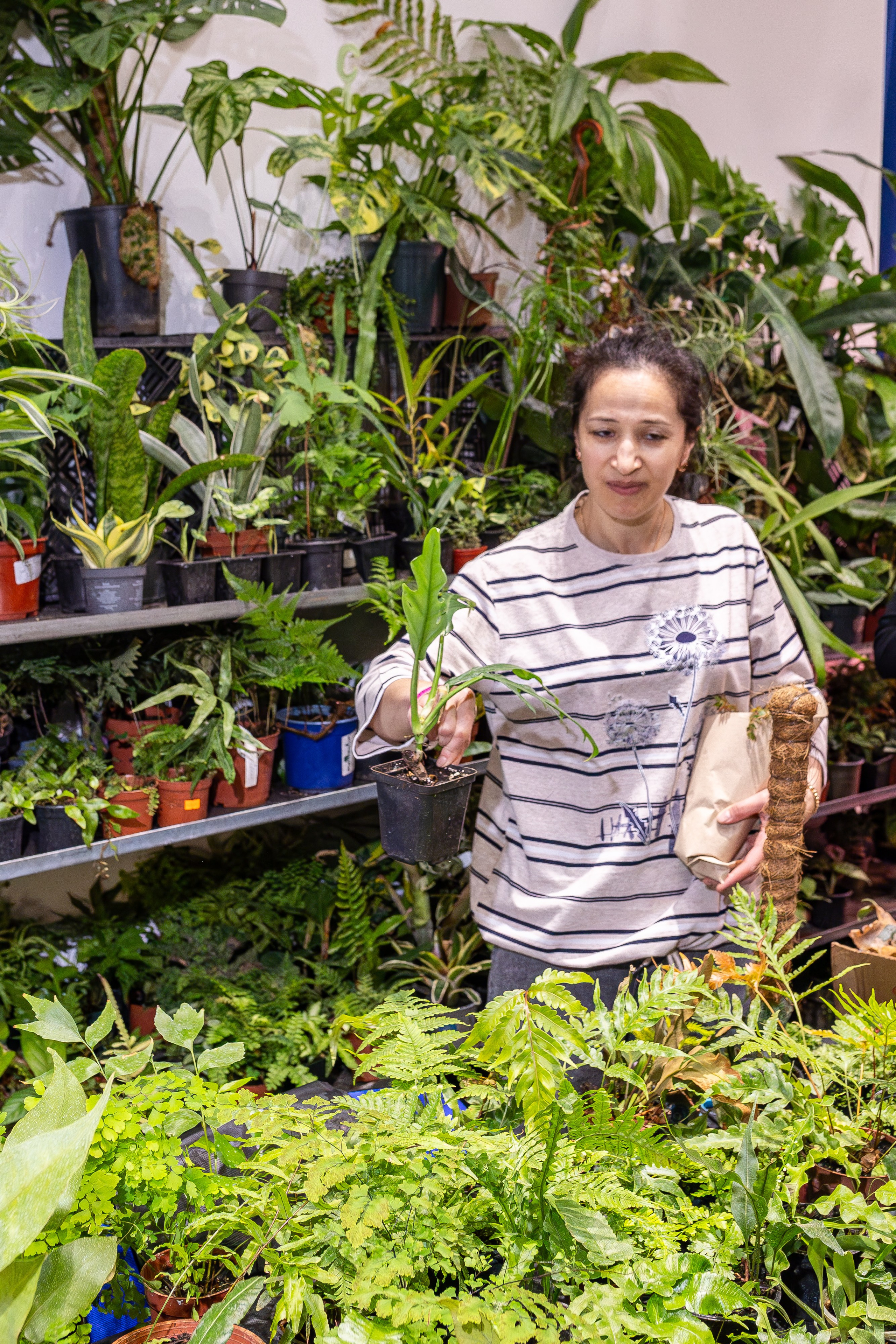 Монстериум апрель 2026. Александра Куликова фотограф, Москва