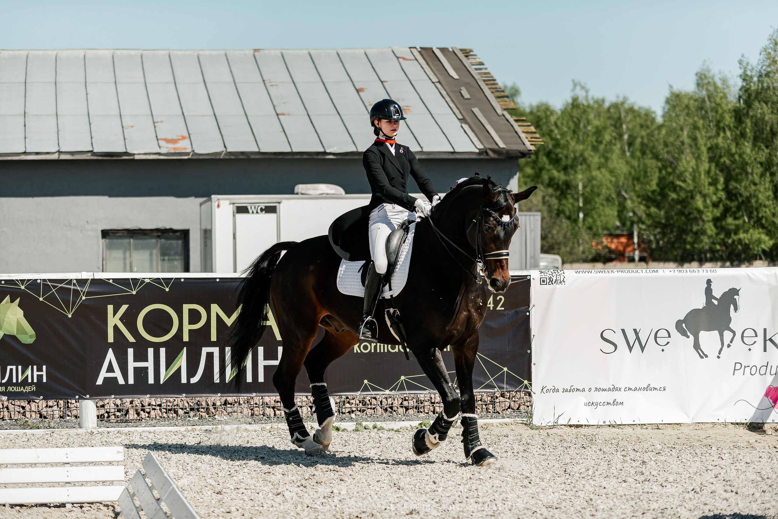 РЕПОРТАЖ МКК ВОЛЬТ «LA TULIPS». Конный фотограф Куракина Дарья • Фотосессии с лошадьми