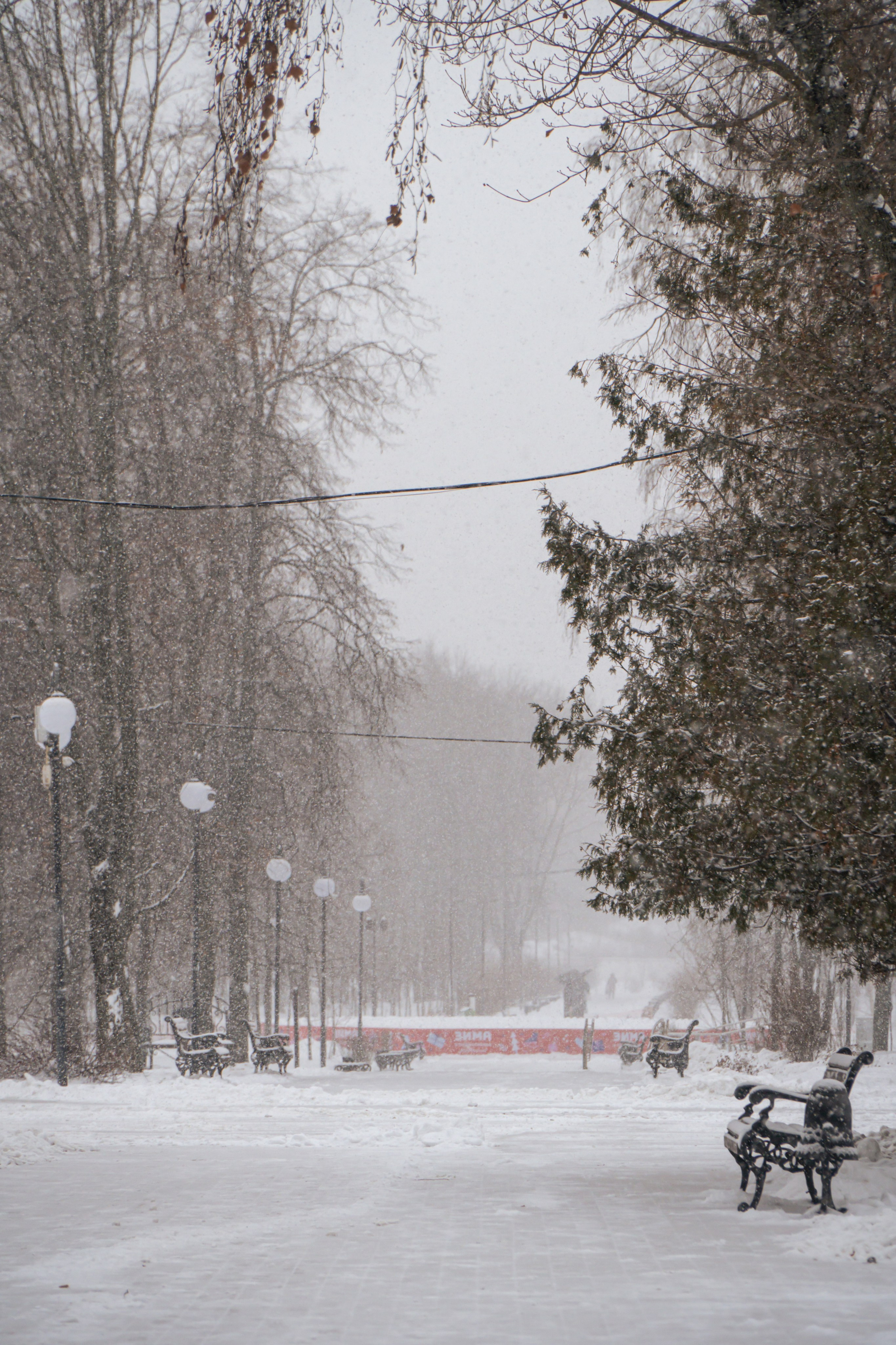5 вёрст Наташинский 14 декабря 2024. Роман Капилюшов. Бег. Фото. Видео. г. Люберцы