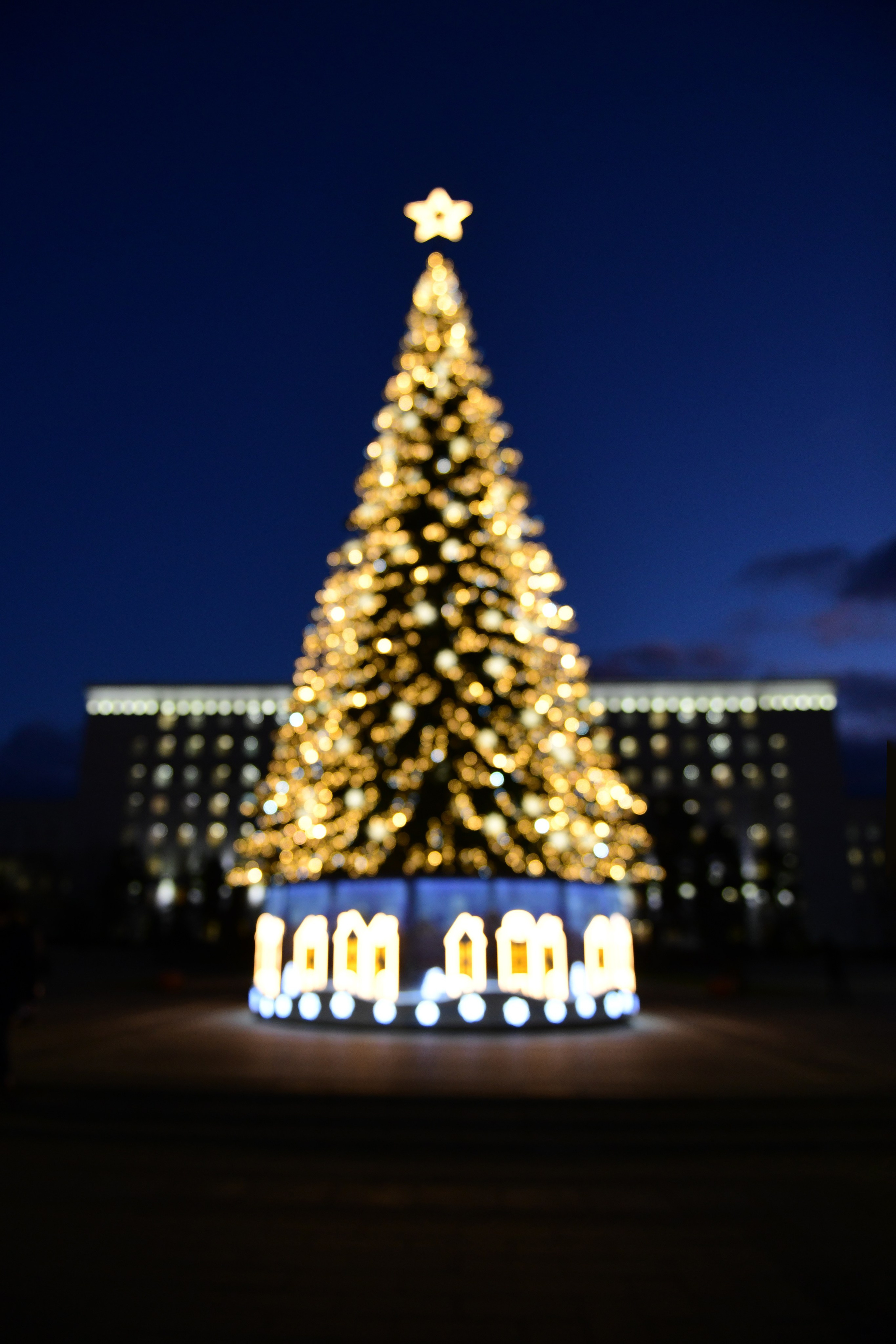 РОСТОВ. Фотограф Глеб Садов