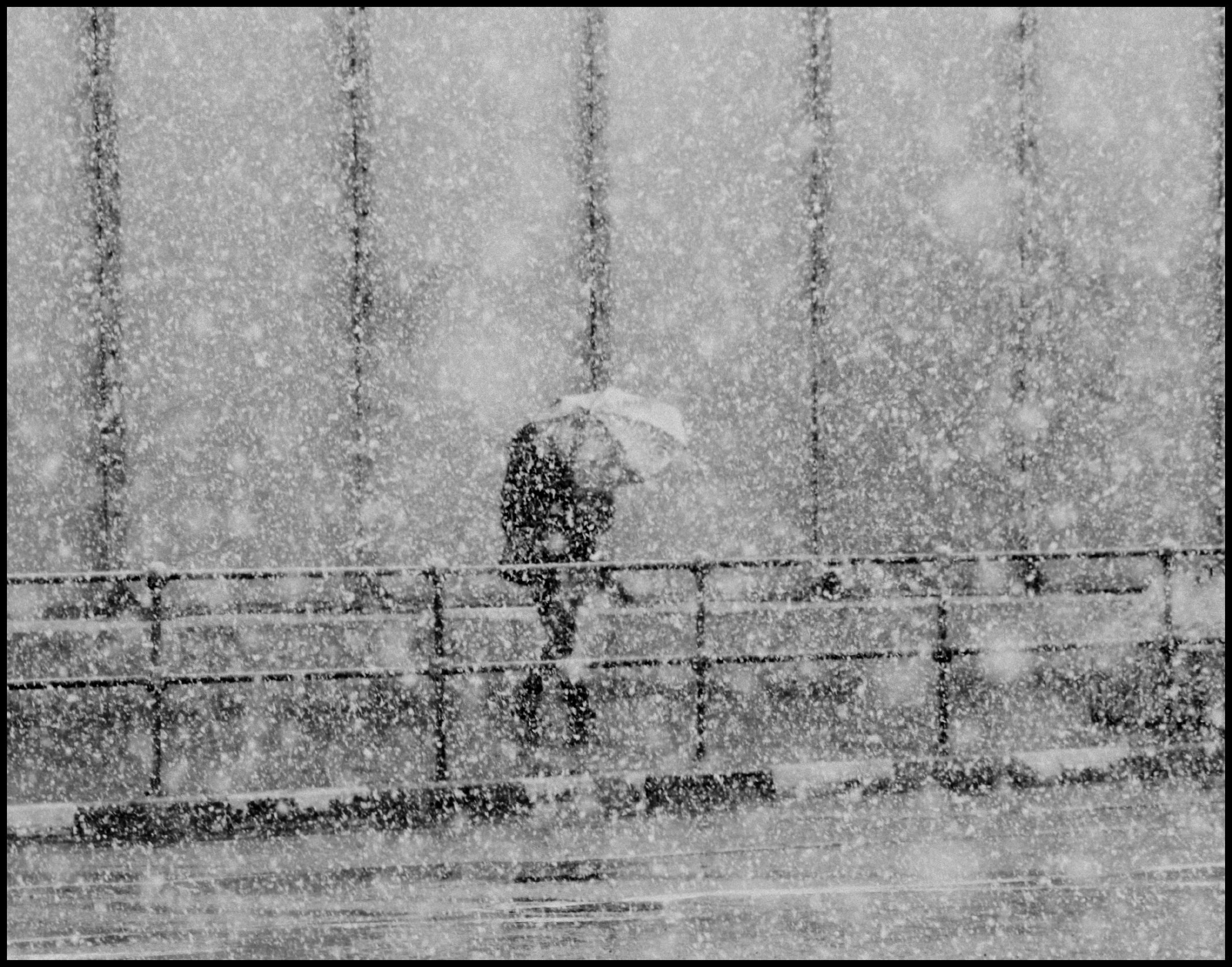 Работы. Свадебный фотограф в Москве Сафонова Анна