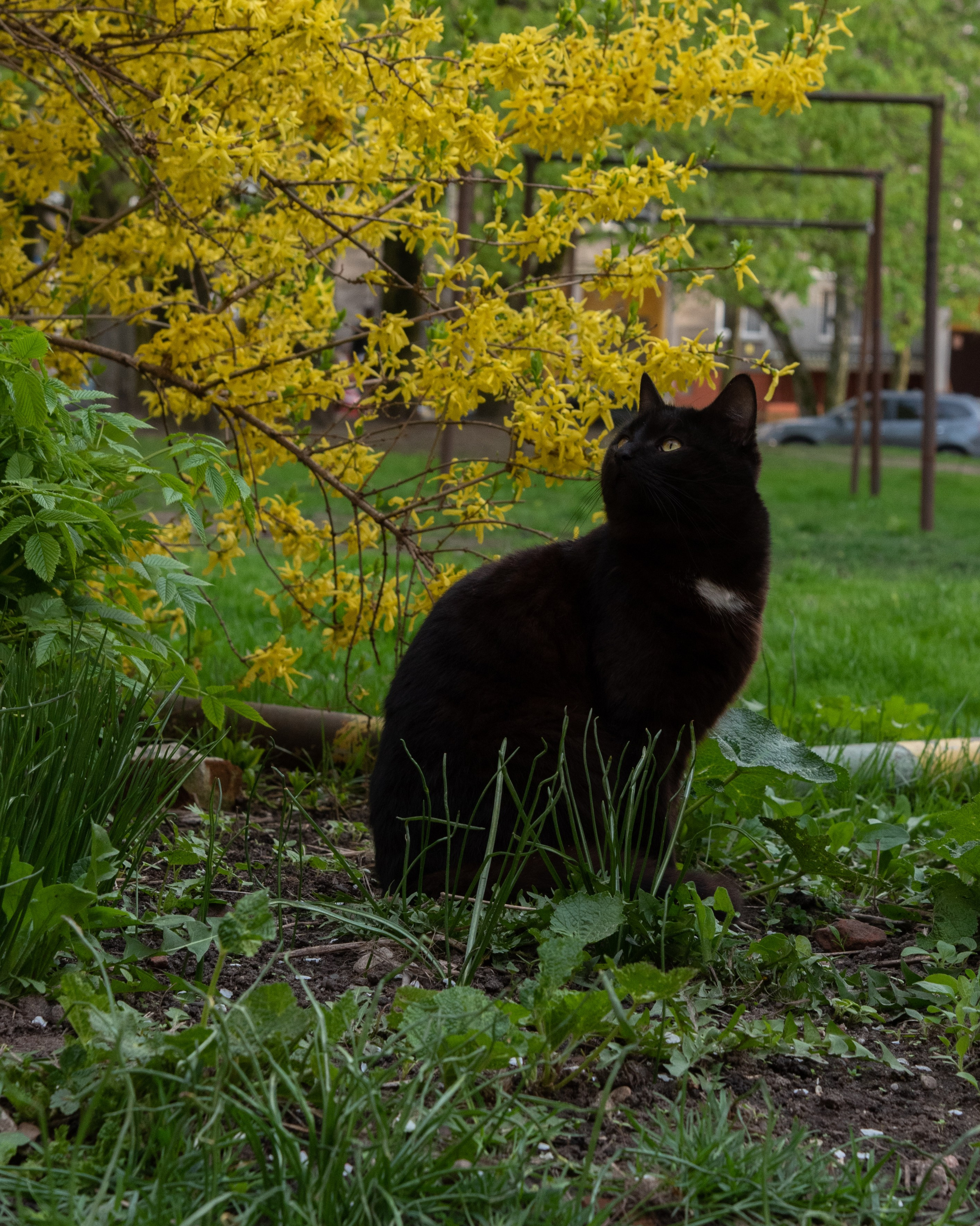 Калининград, Светлогорск. Фотограф Юлия Зимина