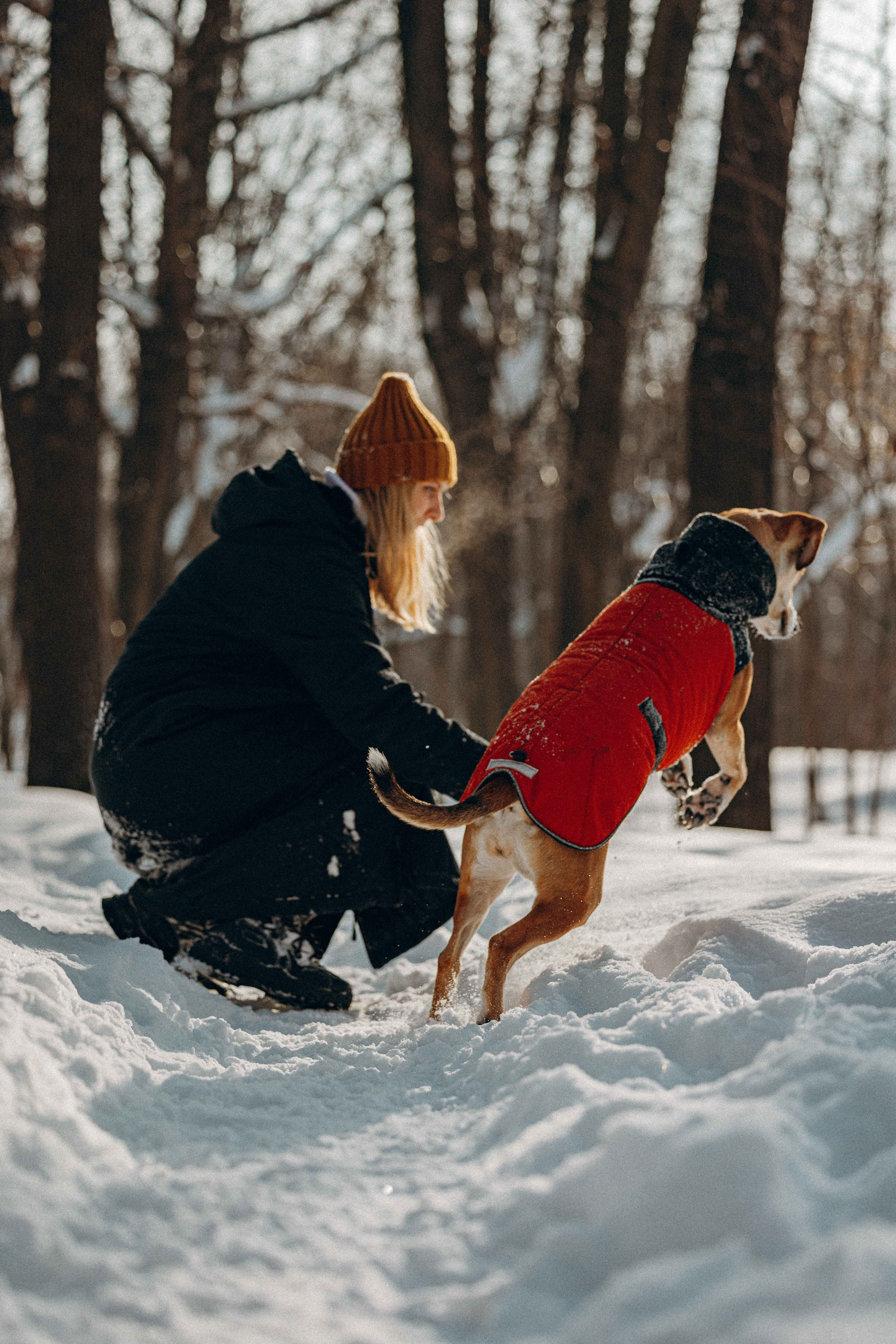 Свобода и ее семья. Фотограф-анималист в Москве Лера Черноног