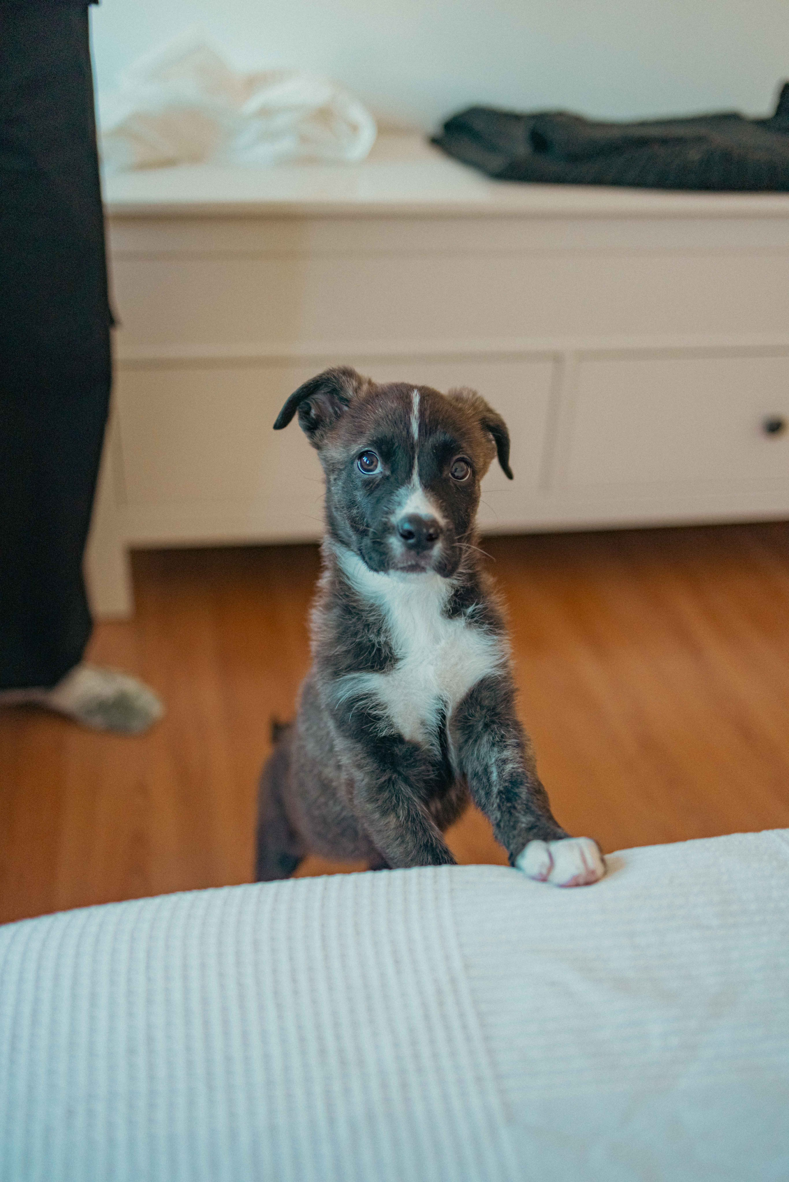 Гайка. Фотограф-анималист в Москве Лера Черноног