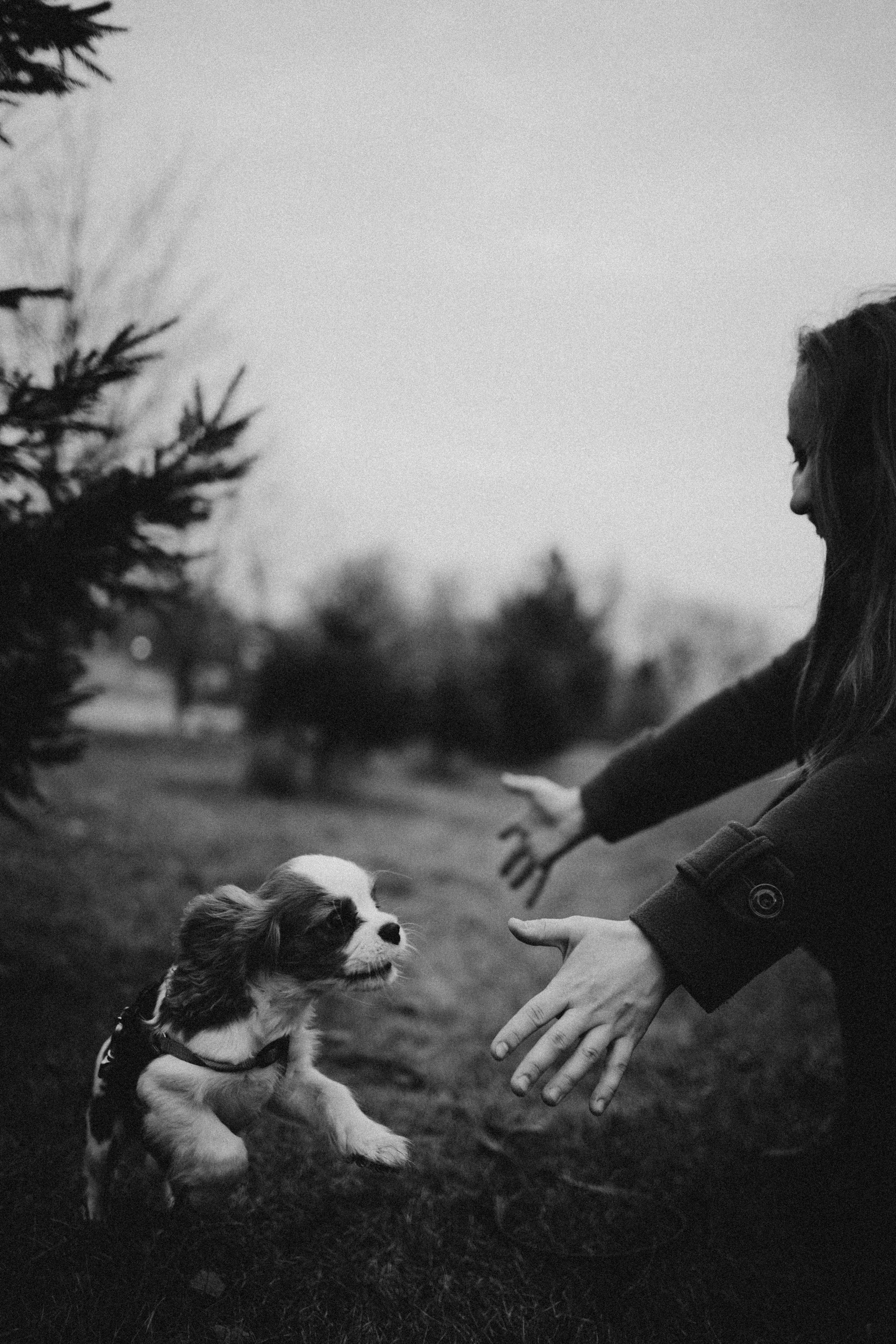 Юля и Кипр. Фотограф-анималист в Москве Лера Черноног