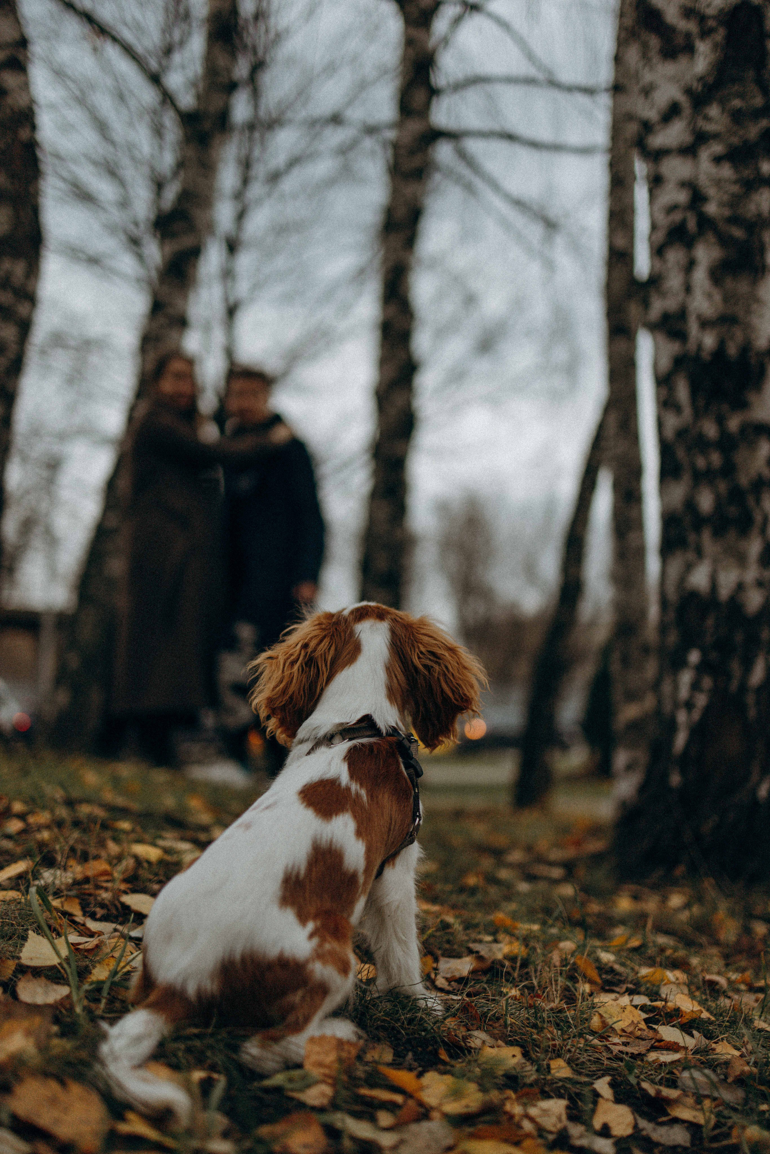 Юля и Кипр. Фотограф-анималист в Москве Лера Черноног