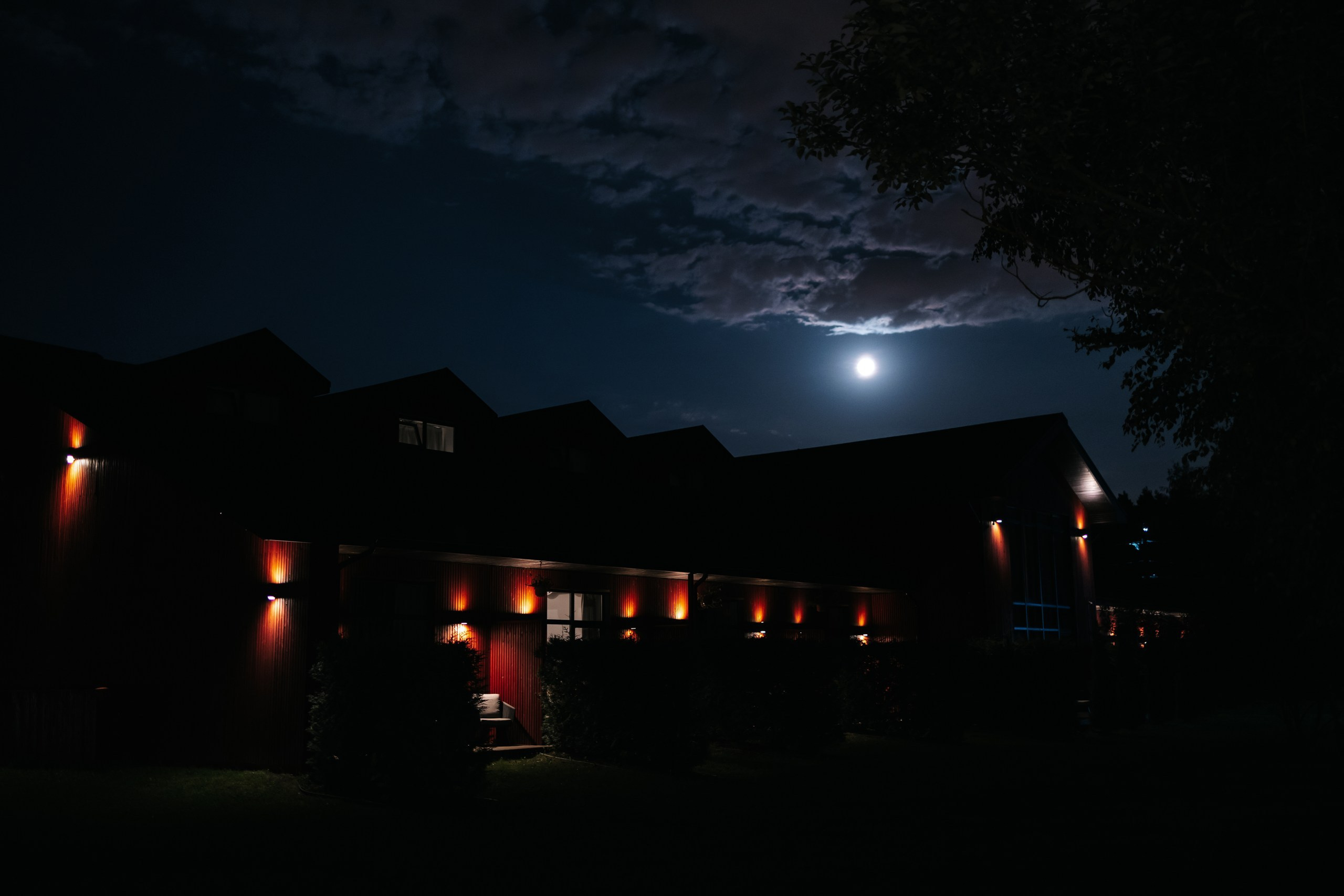 Денис и Лера. Свадебный фотограф Москва Мотеюнайте Виктория