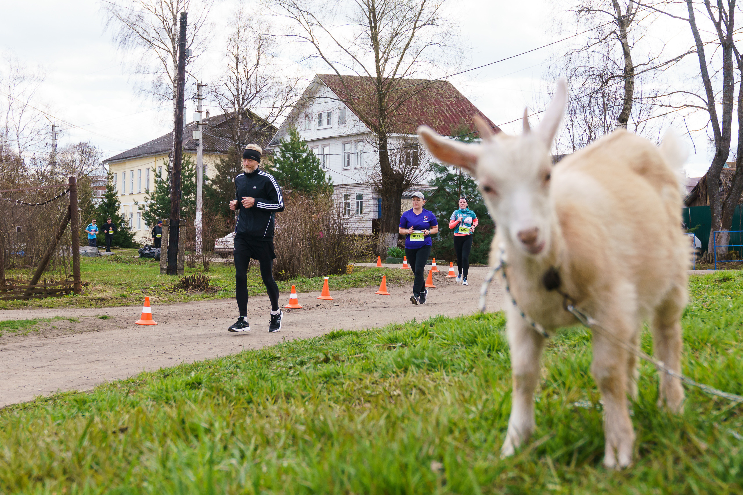 Тутаевский полумарафон. Репортажный фотограф Сергей Сажин г. Ярославль