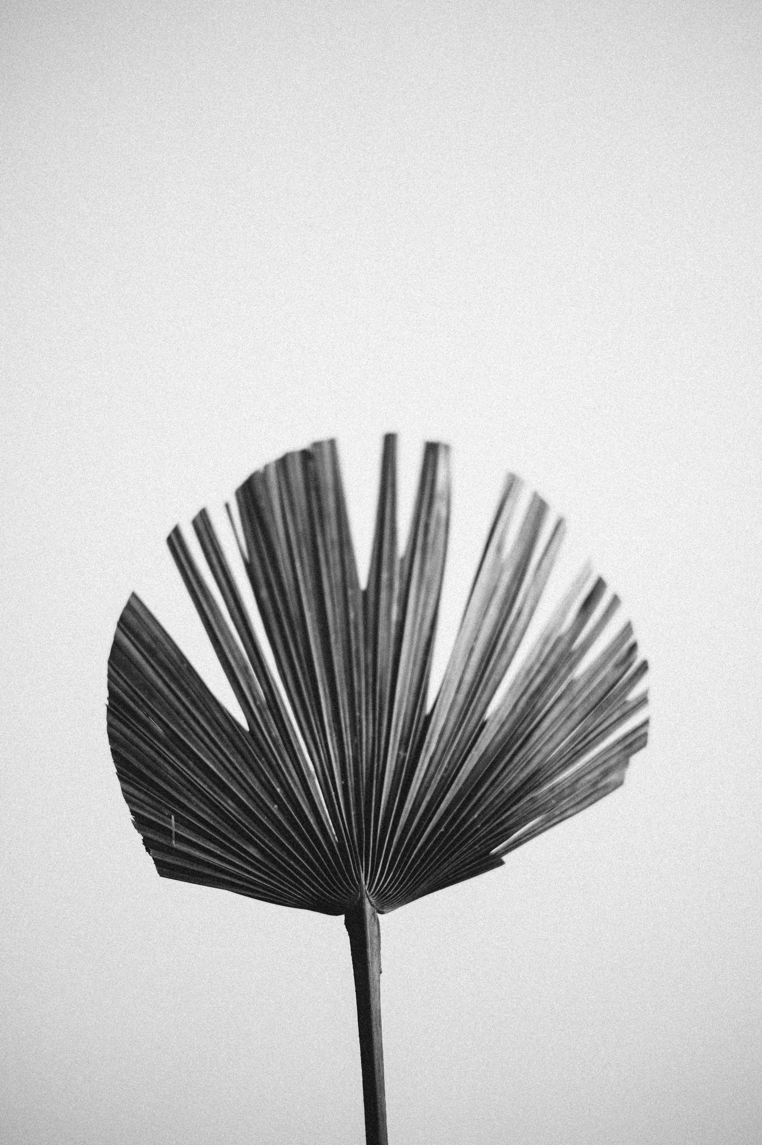 Фотосессия для Юли и Насти. Фотограф о любви в Перми Елена Кузовлева