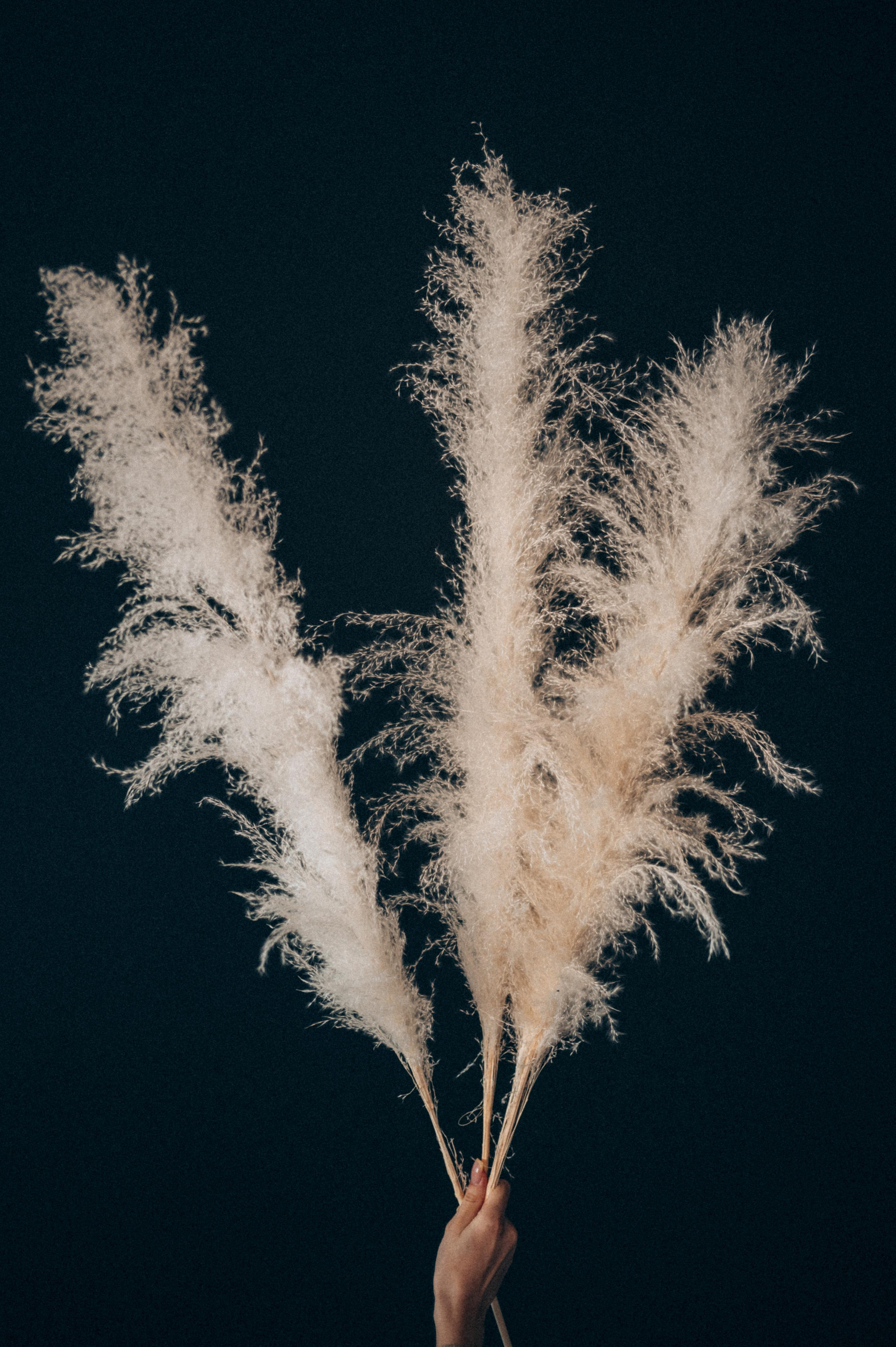 Фотосессия для Юли и Насти. Фотограф о любви в Перми Елена Кузовлева