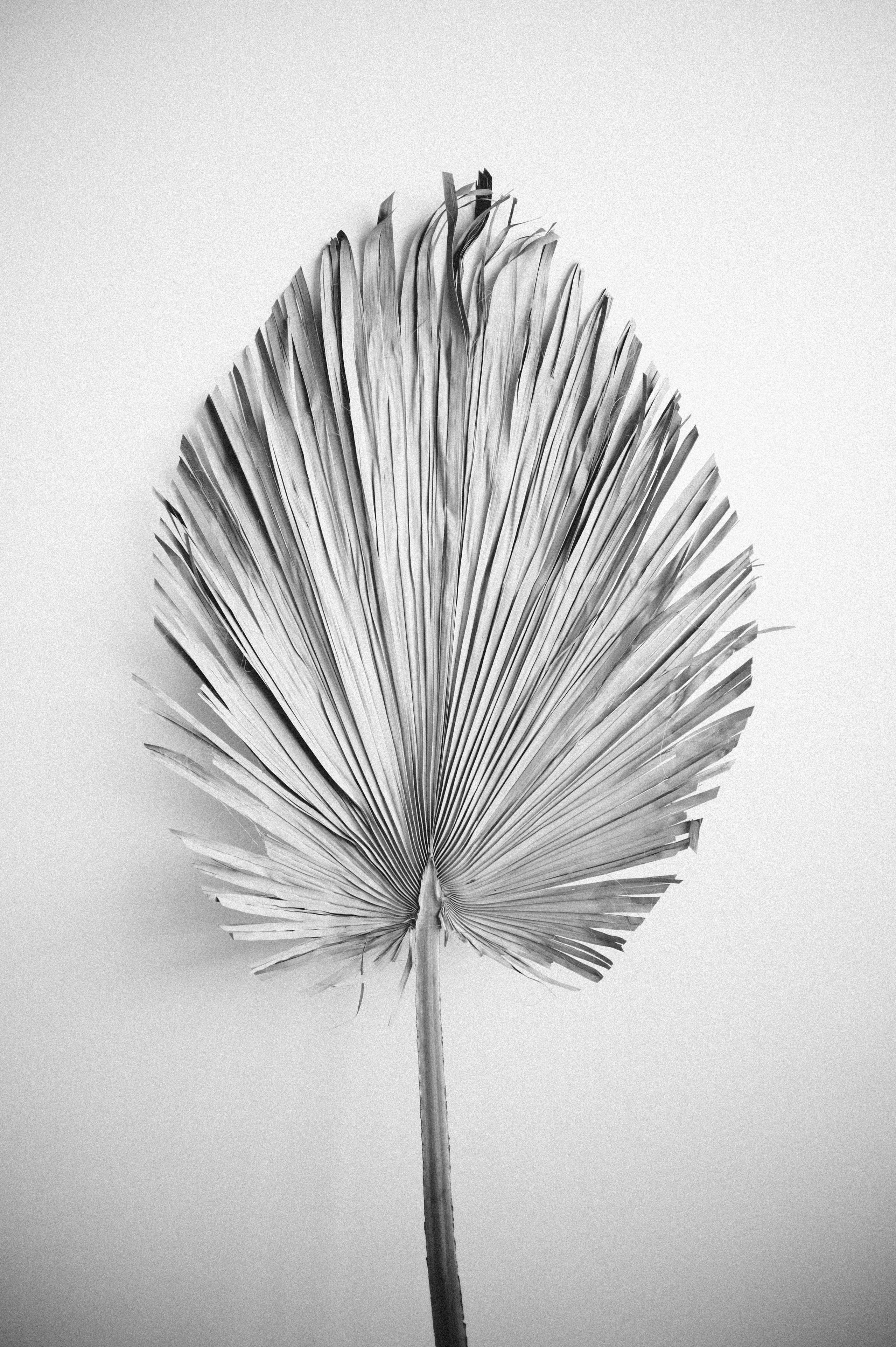 Фотосессия для Юли и Насти. Фотограф о любви в Перми Елена Кузовлева