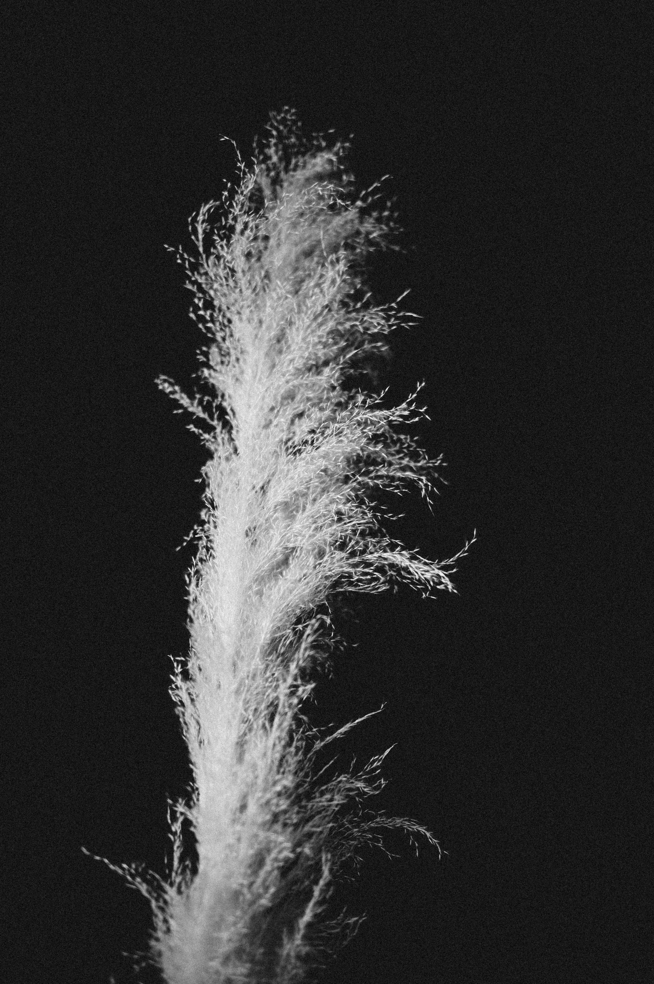 Фотосессия для Юли и Насти. Фотограф о любви в Перми Елена Кузовлева