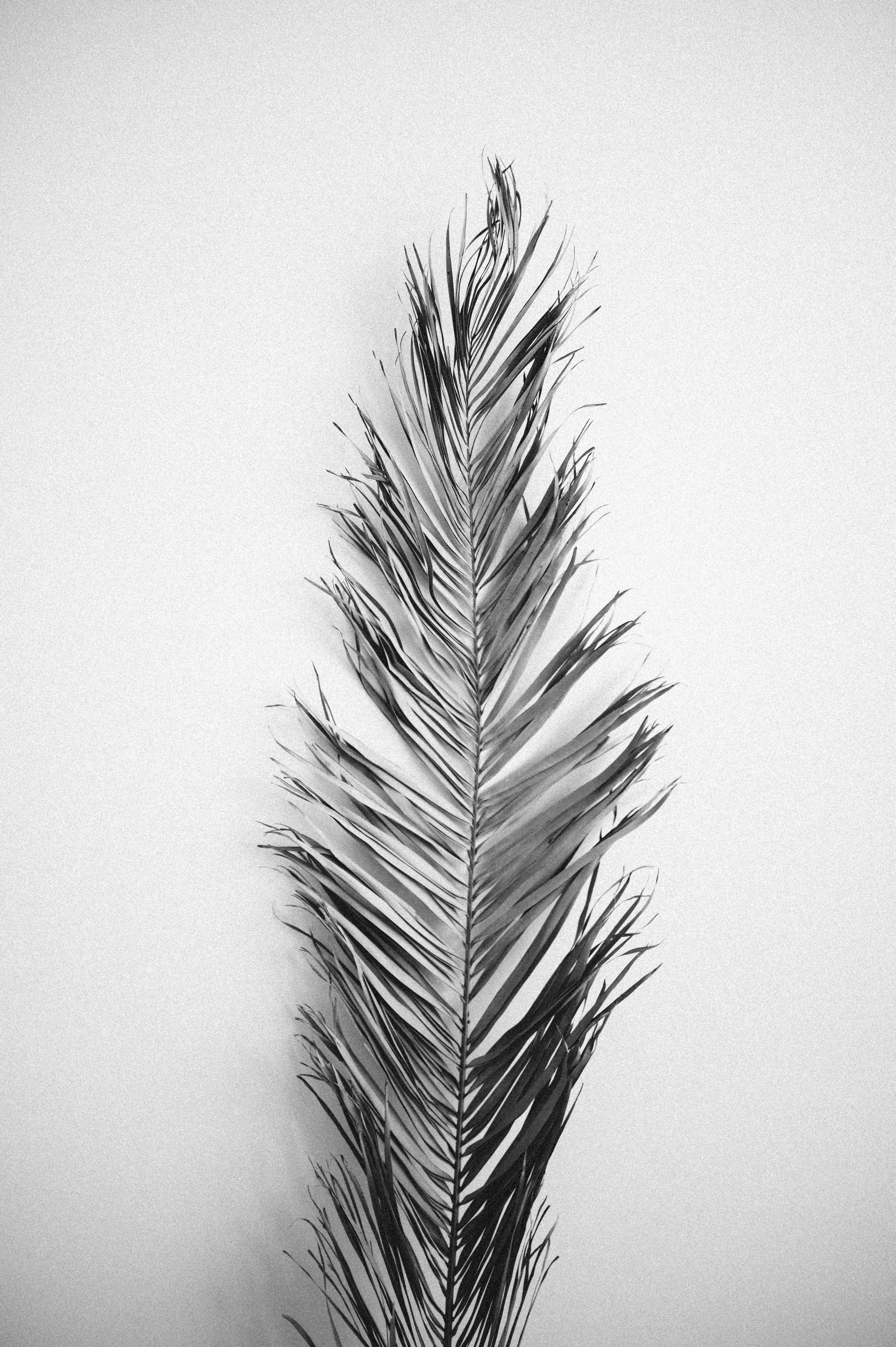 Фотосессия для Юли и Насти. Фотограф о любви в Перми Елена Кузовлева