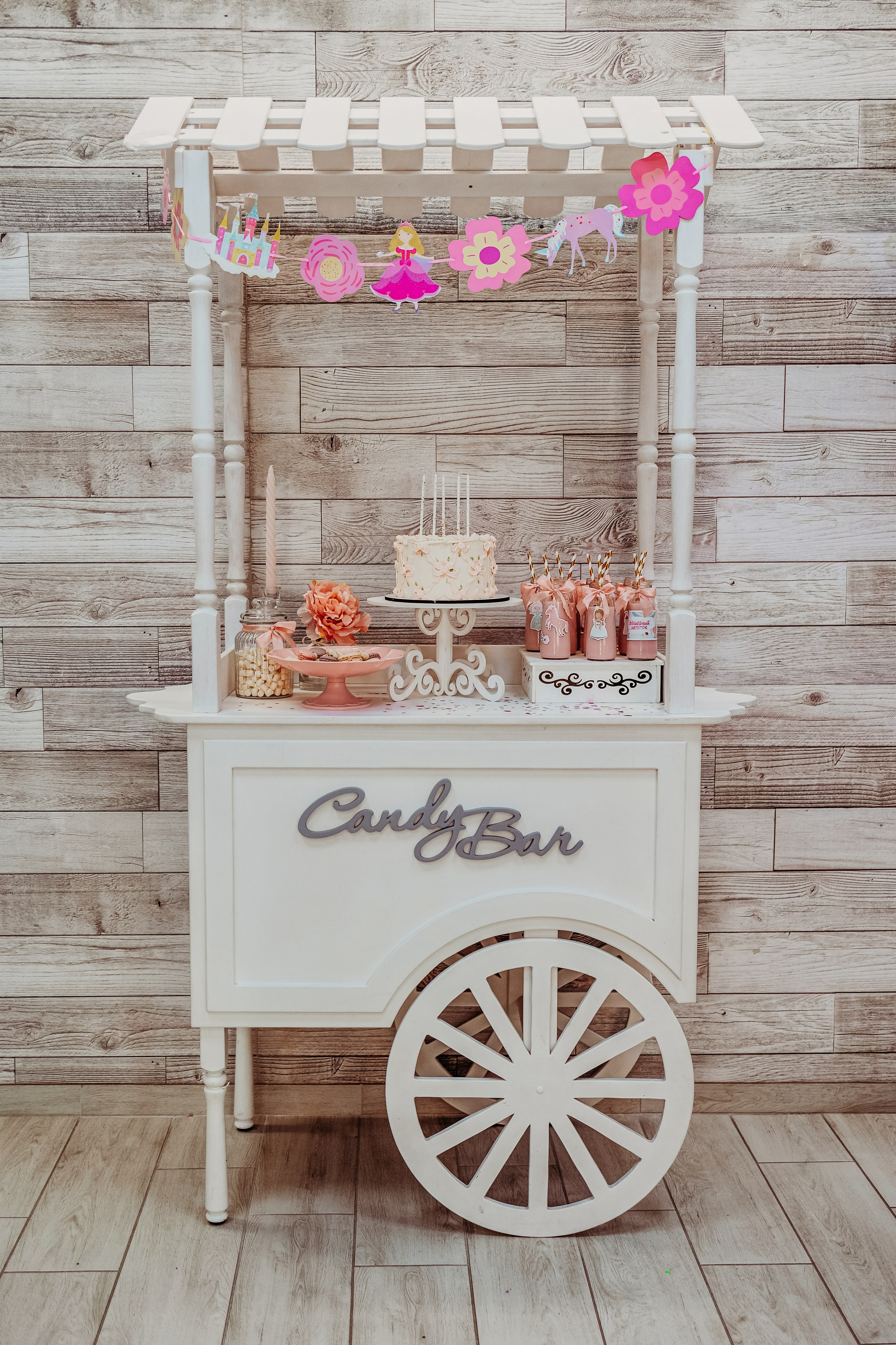 День рождения Софии. Семейный фотограф и видеограф Попова Юлия