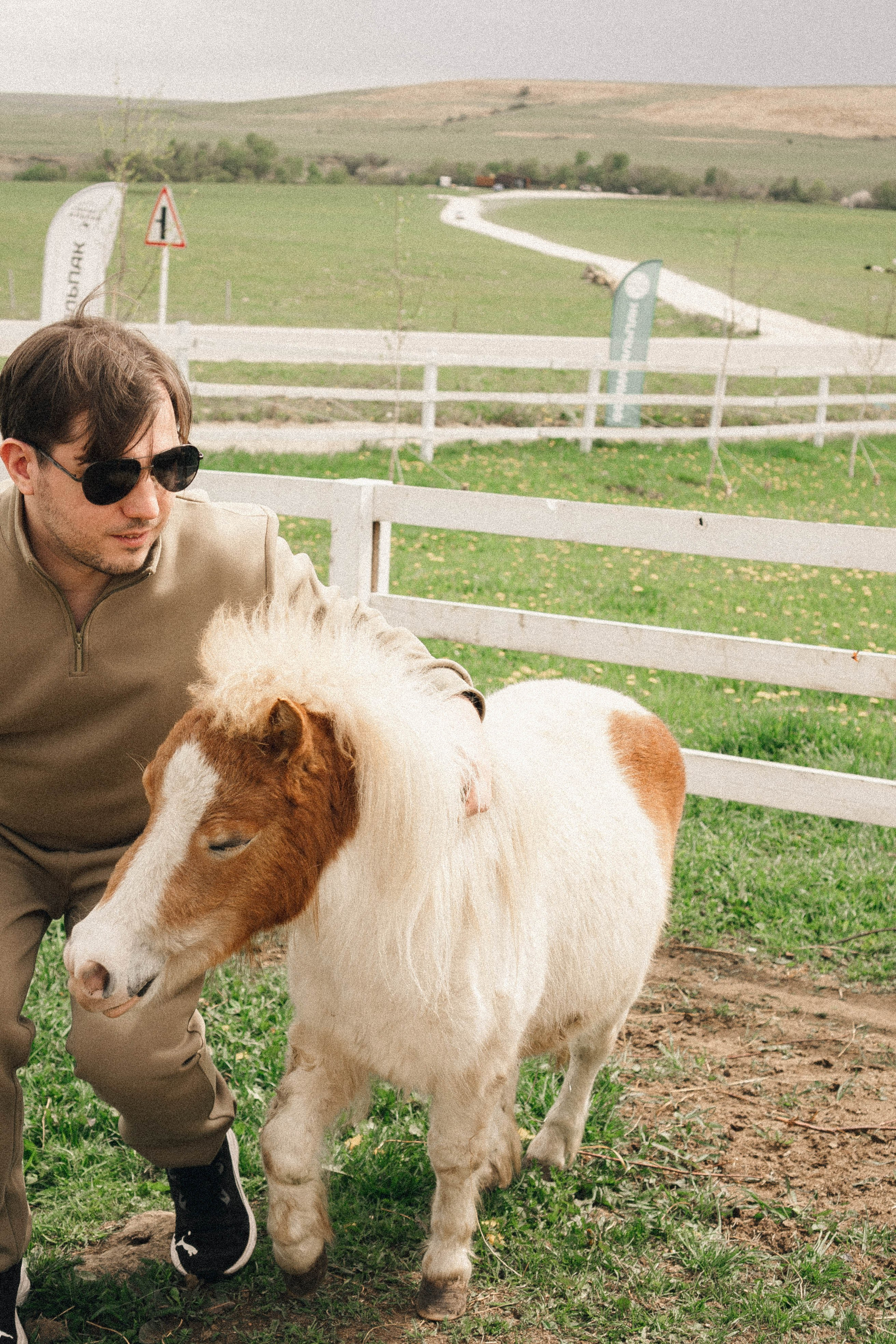 Ферма Альпак. Профессиональный фотограф, Санкт-Петербург — Виктория Богомолова