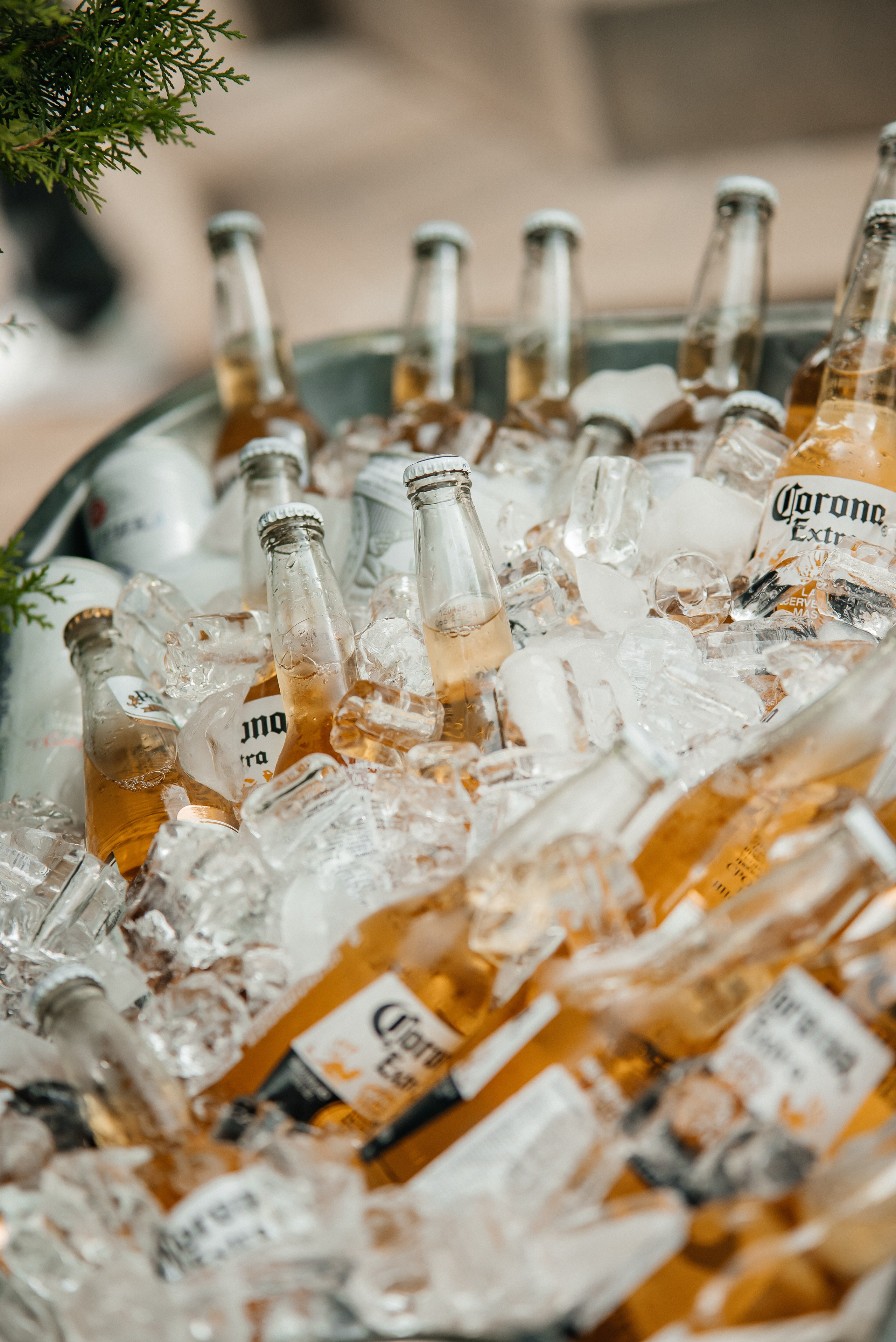 «Свадьба Даши и Артема». Школьный фотограф в Валуйках. Фотосессии для выпускников и изготовление выпускных альбомов в городе Валуйки и в Белгородской области