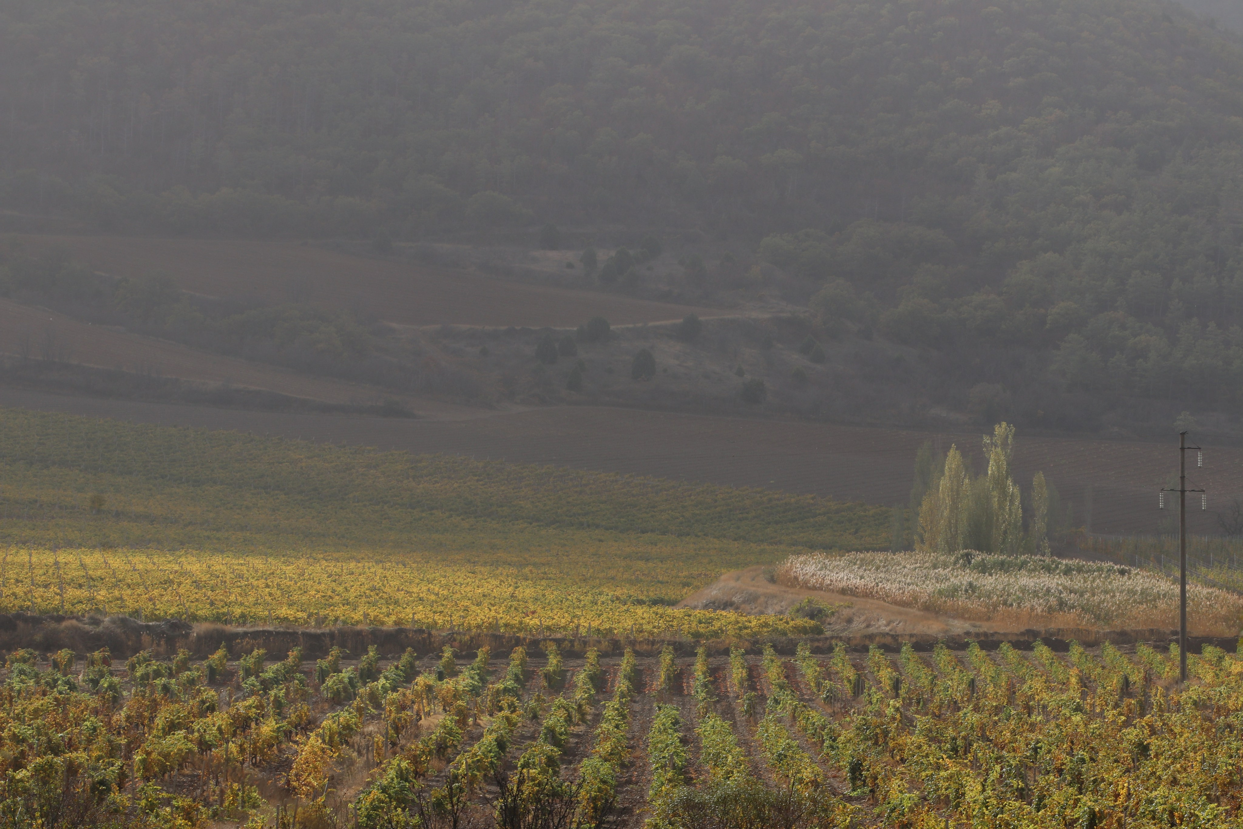 Крым. ЮБК (Гурзуф, Судак и их окрестности). Ноябрь 2023. Путешественник-фотограф из Санкт-Петербурга Татьяна Свистулина