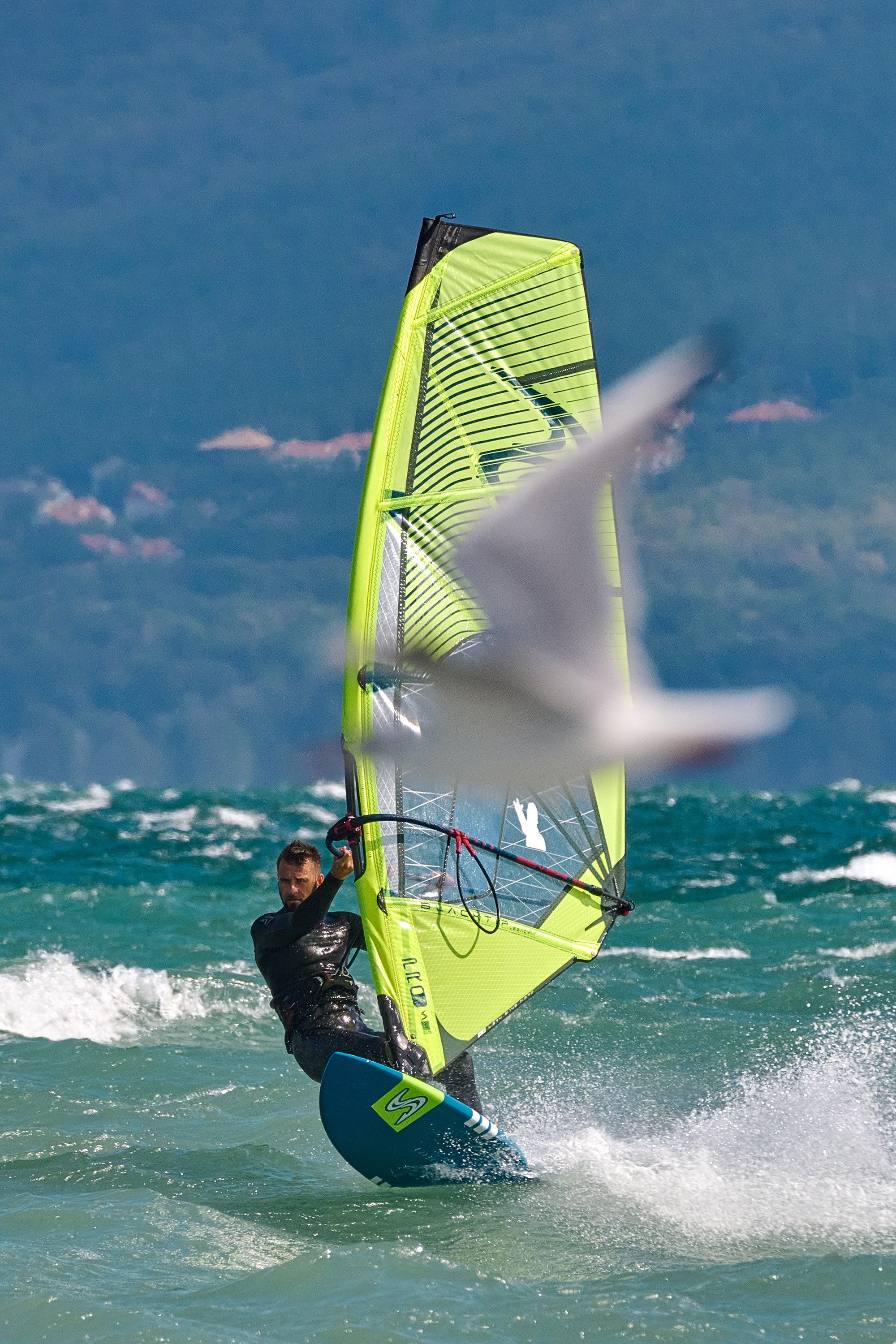 Спорт, экстремальный спорт, водные виды спорта. Яркие фото на Чёрном море