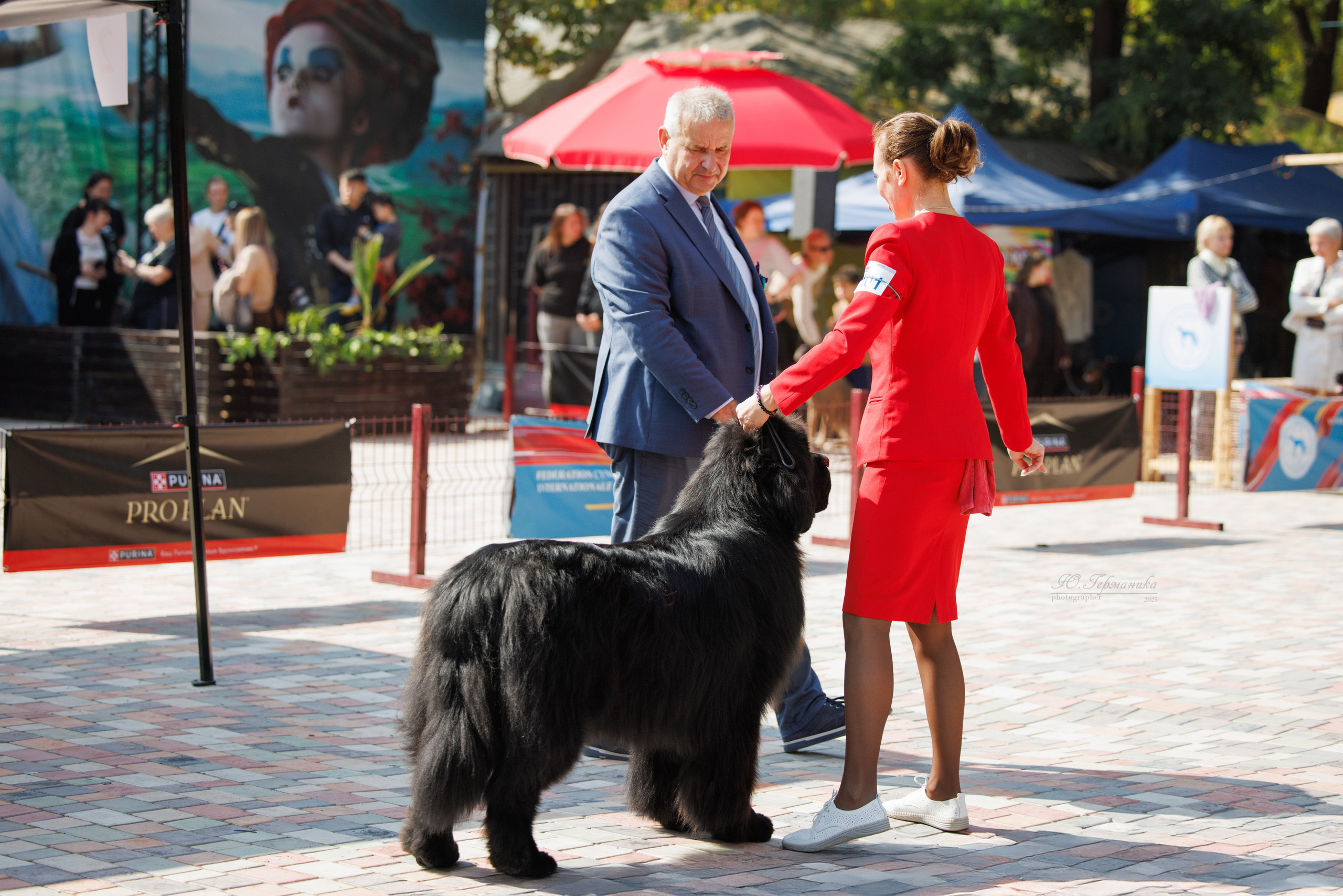 Ташкент 3хCACIB 3-5.10.2025. Фотограф-анималист Юлия Германика