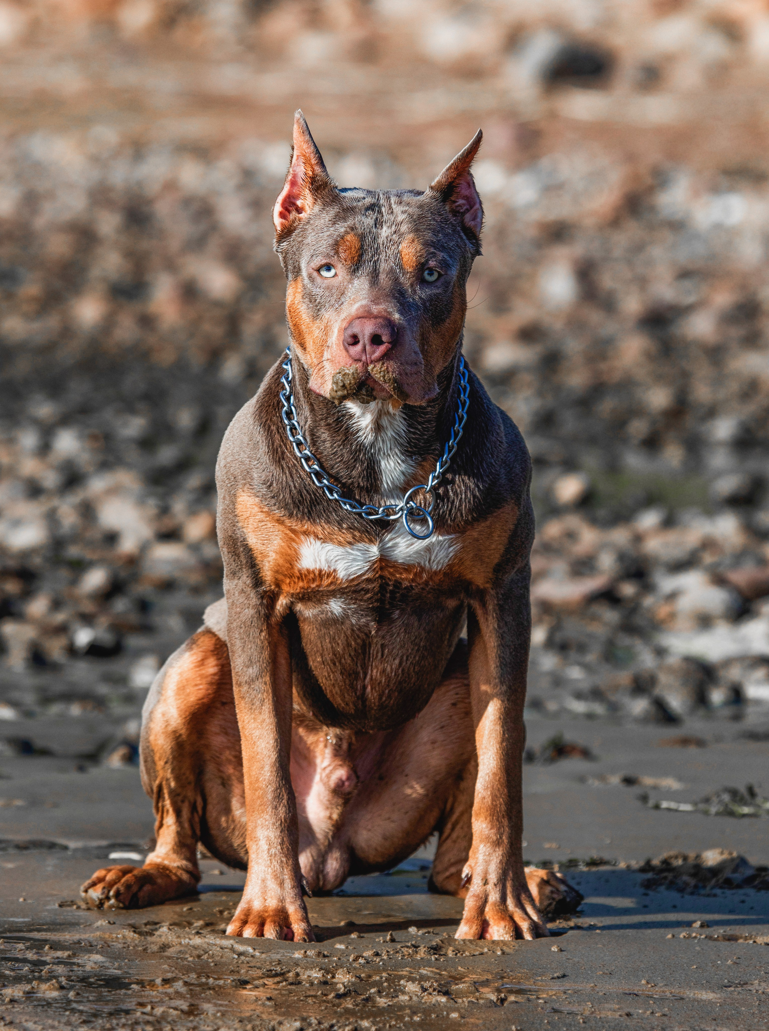 Фотограф-анималист Павлова Любовь