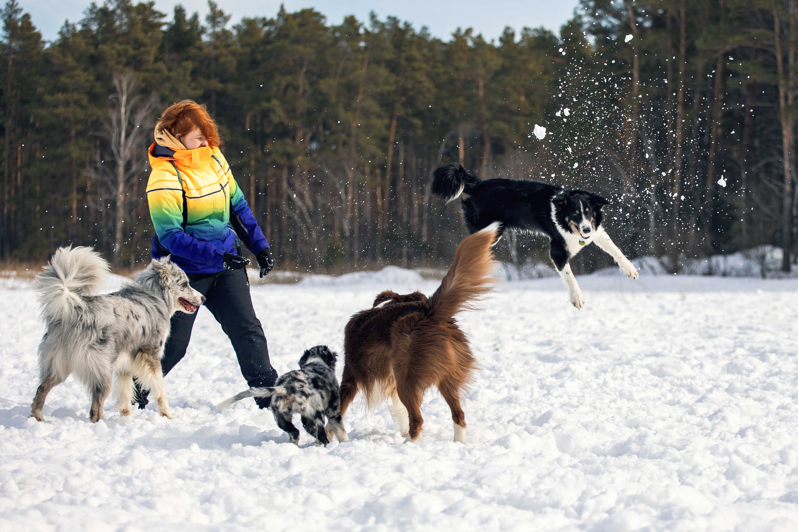 В погоне за снежком…. YULA KOLESOVA | Фотограф — Анималист | Художник | Тюмень