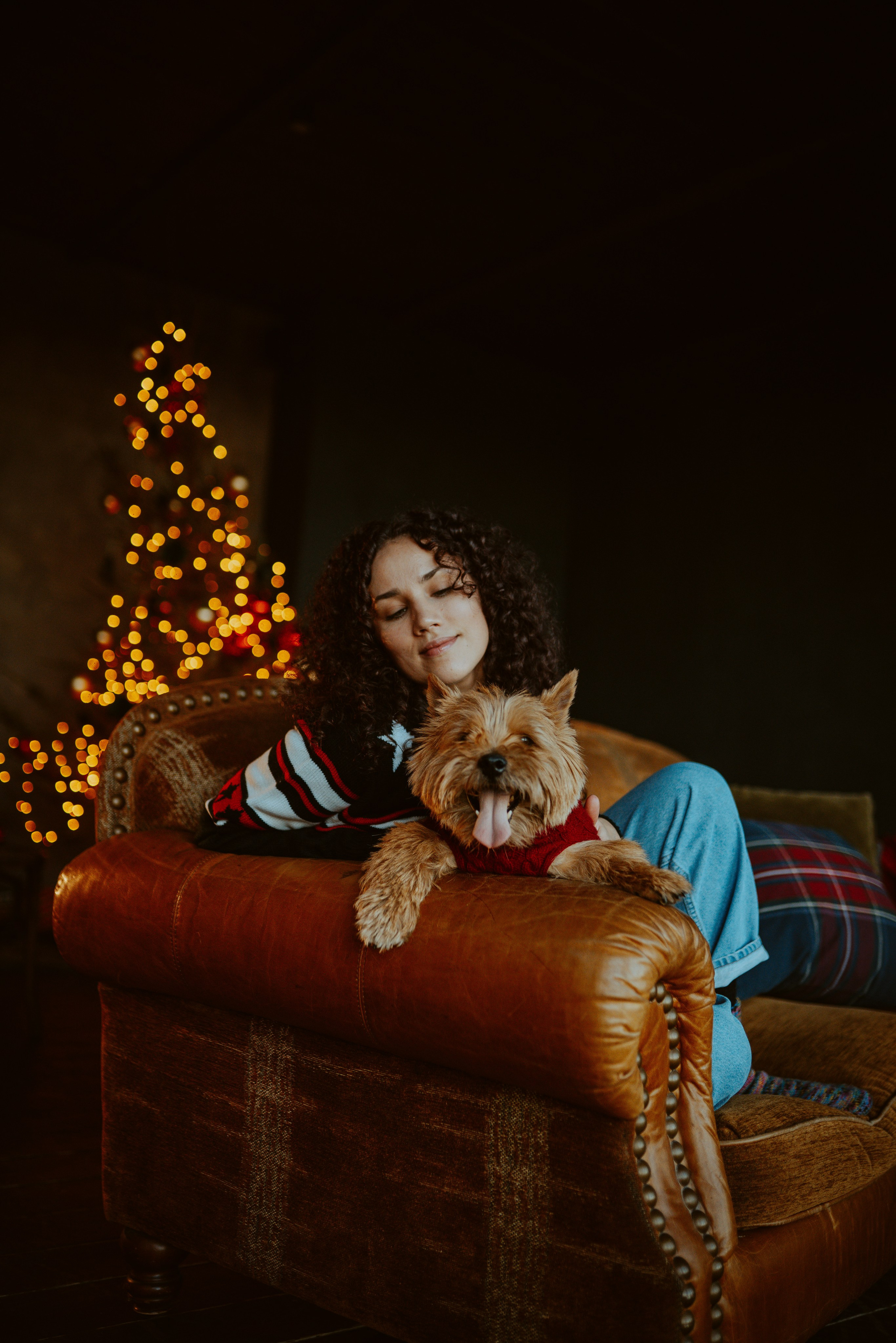 Фотосессия с собакой в студии. Фотограф анималист в Спб недорого Олеся Майорова