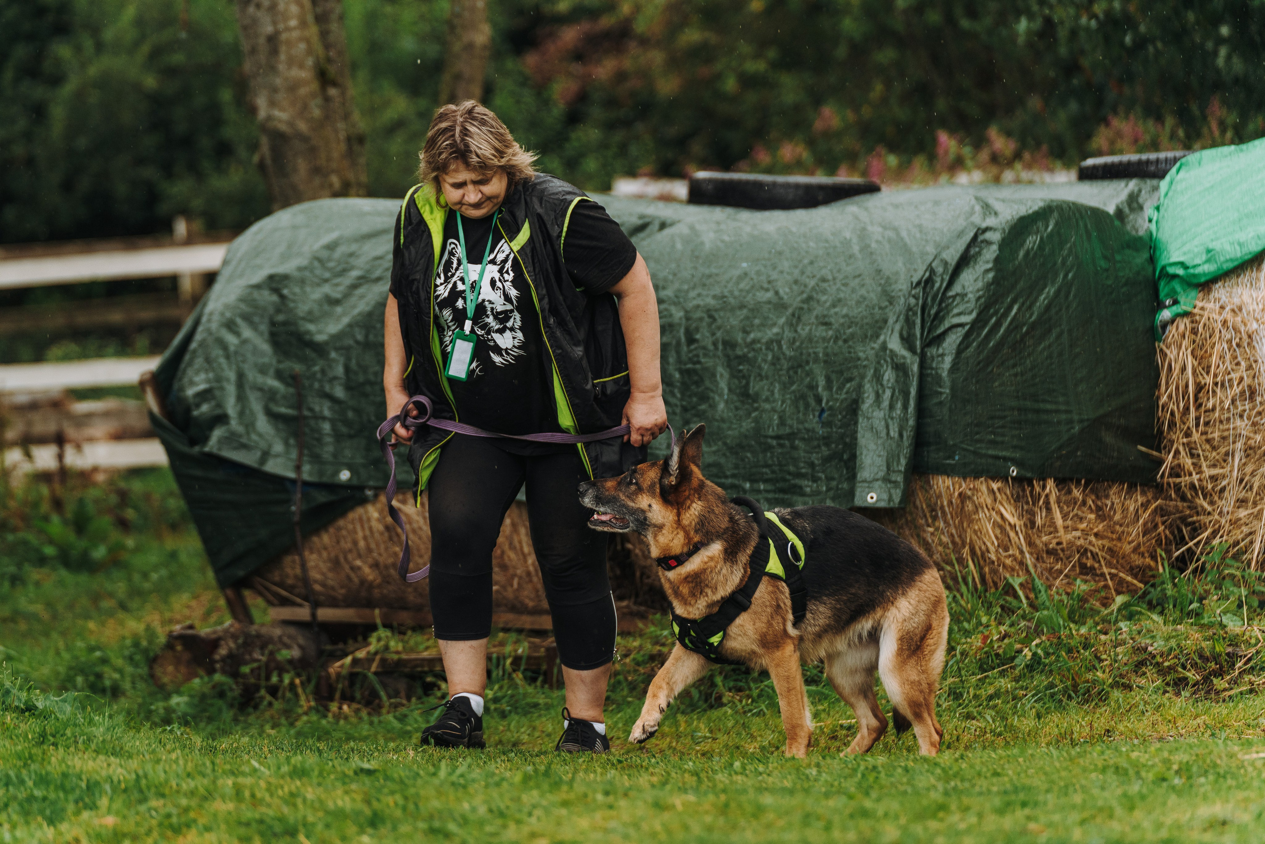 Соревнования по ноузворку в Новожилово. Фотограф анималист в Спб недорого Олеся Майорова
