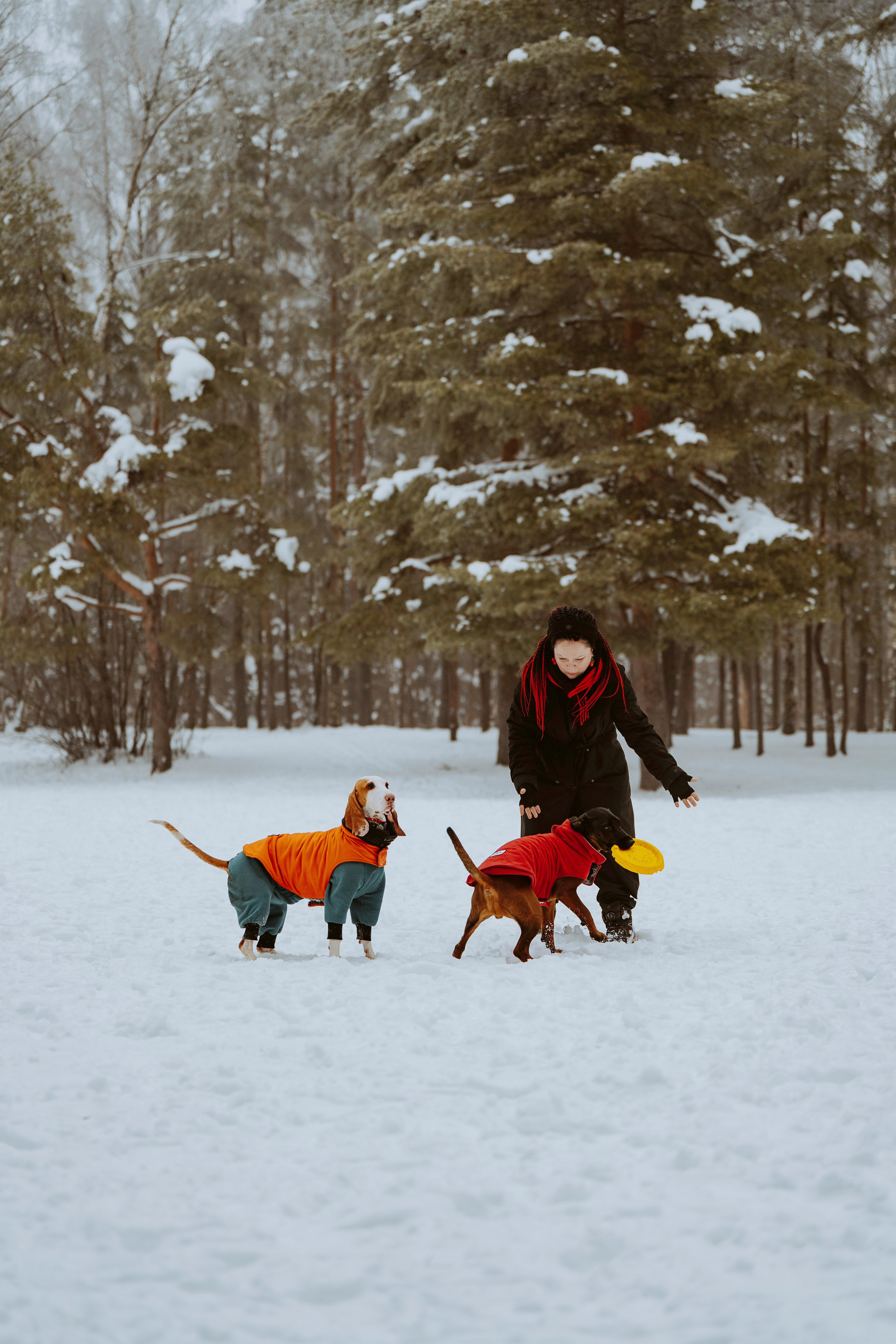 Ольга, Рора и Румпель. Фотограф анималист в Спб недорого Олеся Майорова