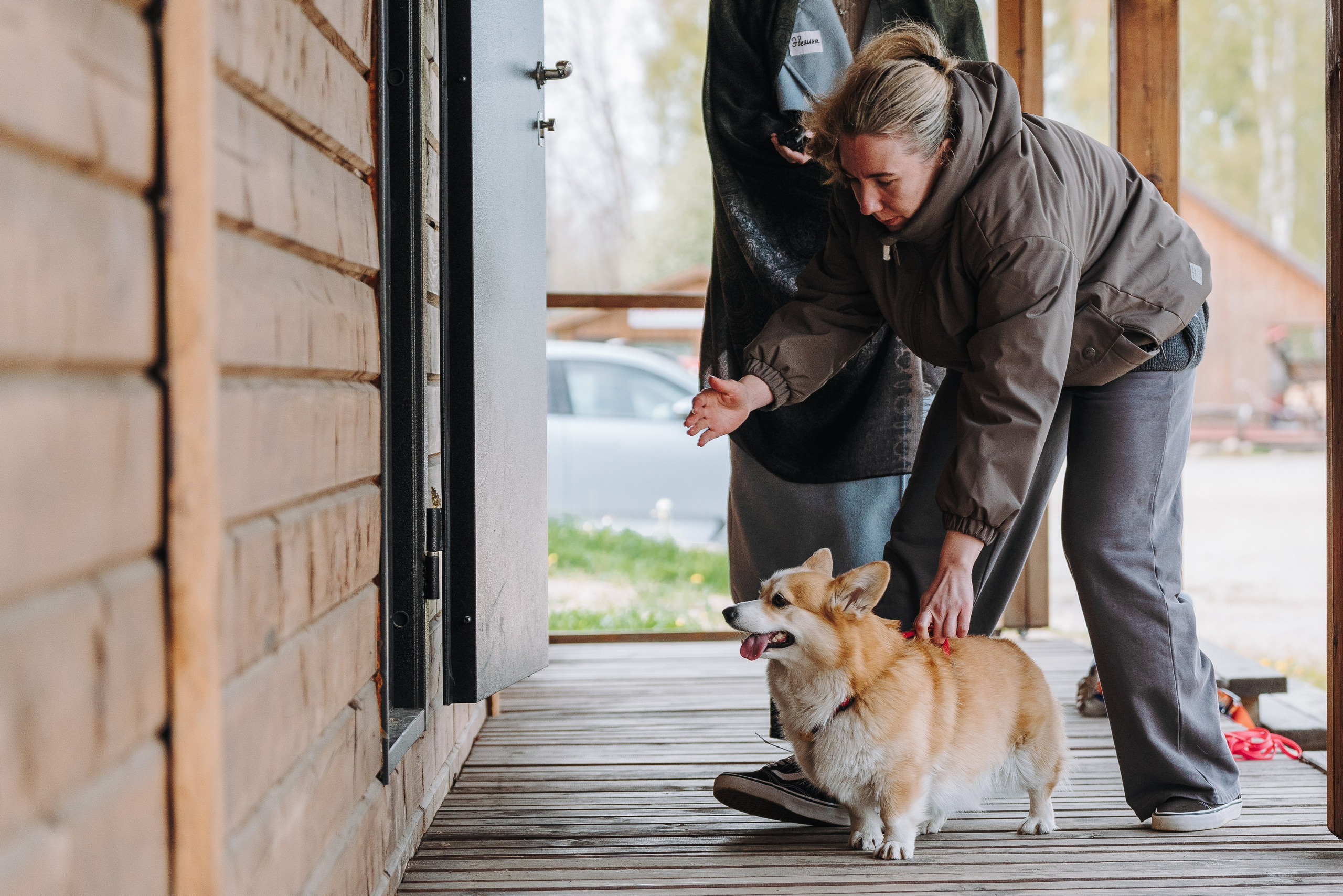 Соревнования по ноузворку в Лосево. Фотограф анималист в Спб недорого Олеся Майорова