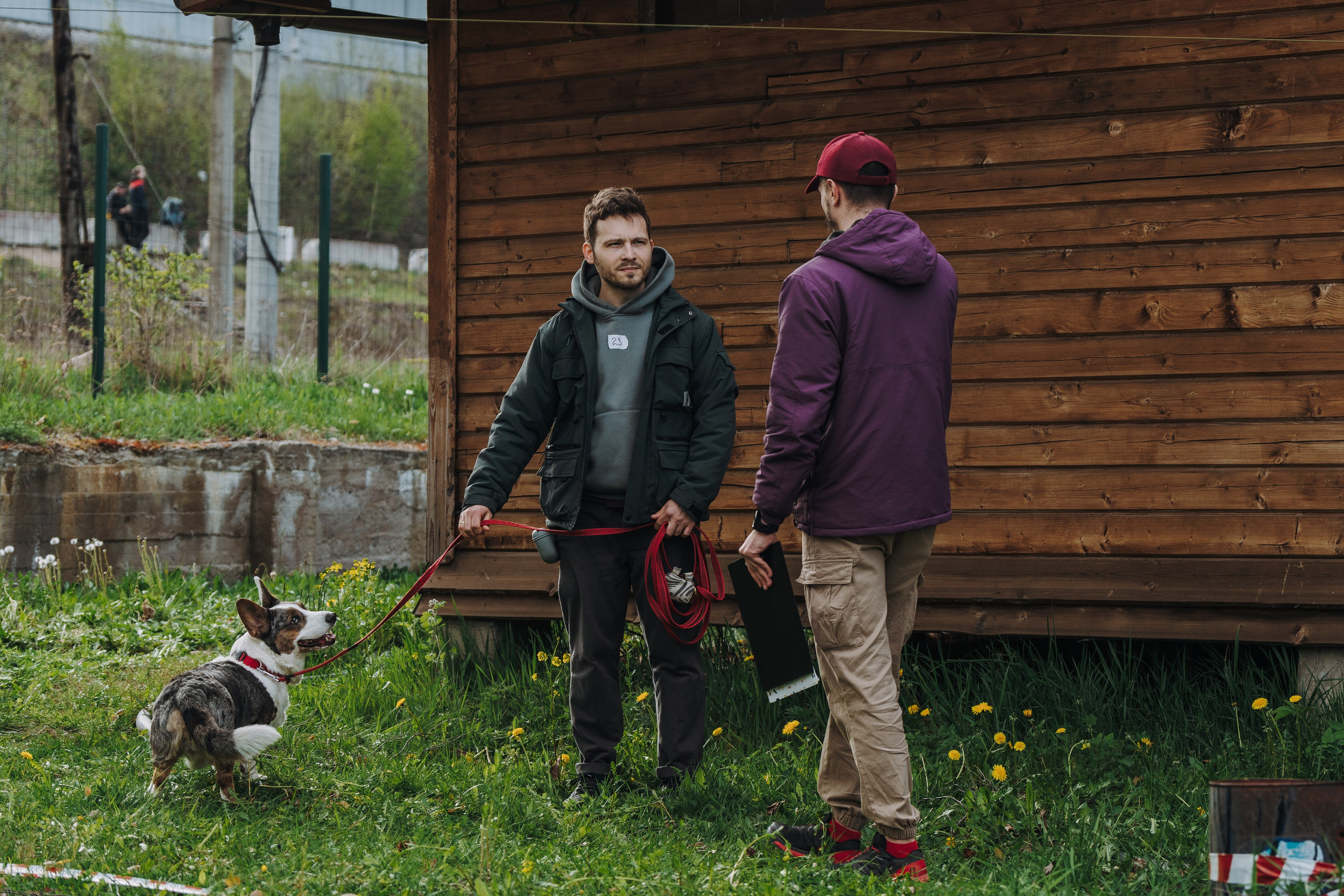 Соревнования по ноузворку в Лосево. Фотограф анималист в Спб недорого Олеся Майорова