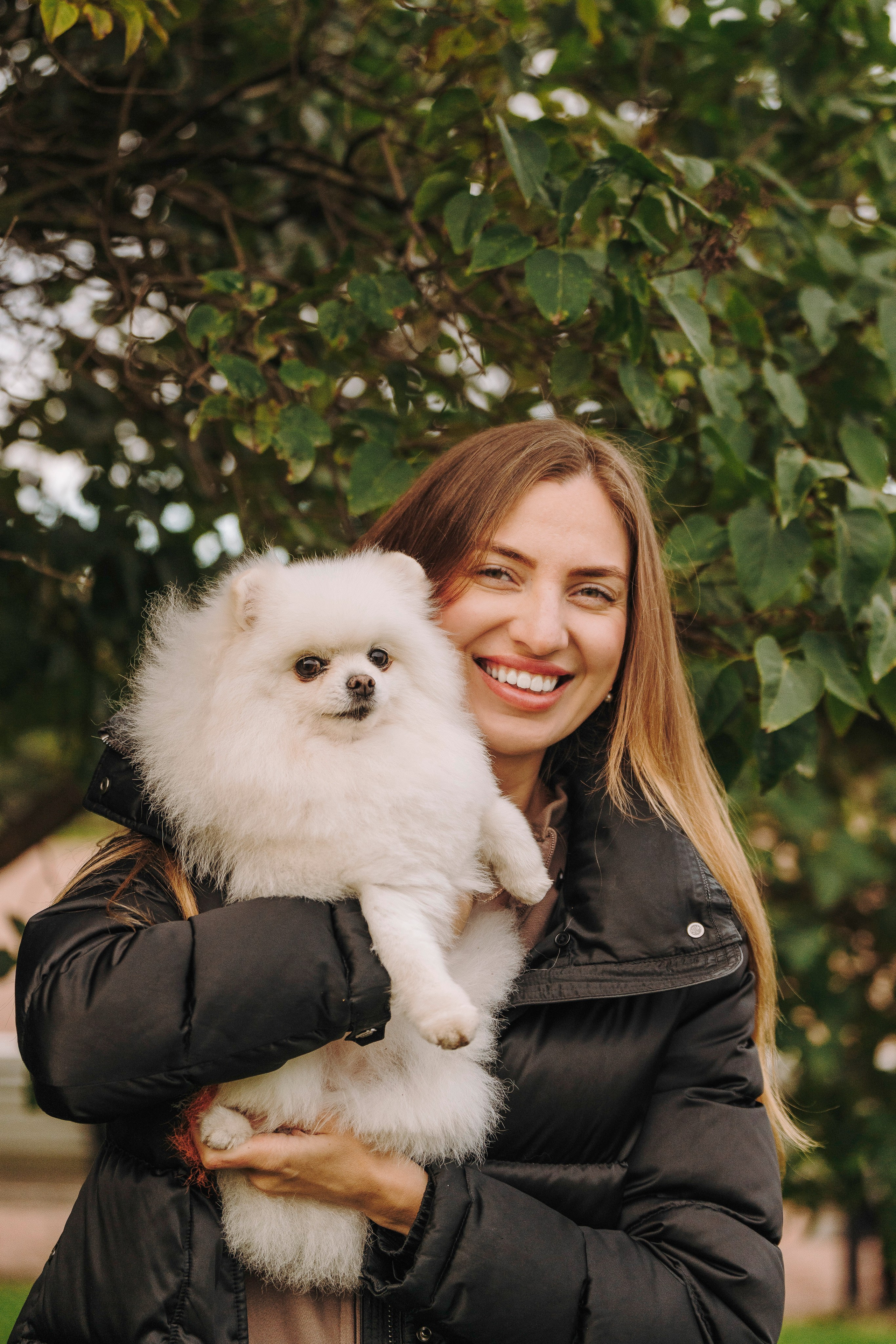 Фотосессия с померанским шпицем. Фотограф анималист в Спб недорого Олеся Майорова