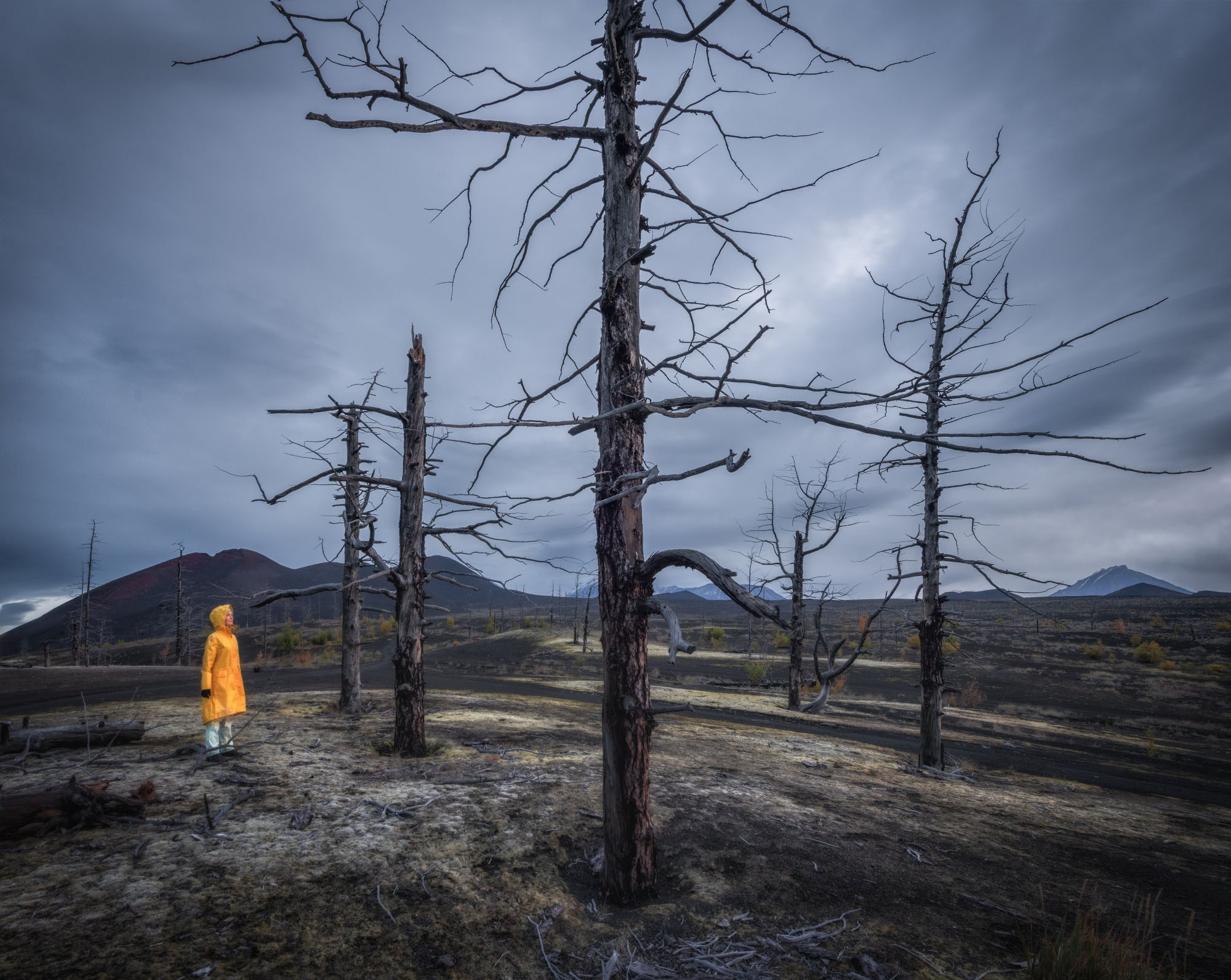 Фототур на Камчатку 2026