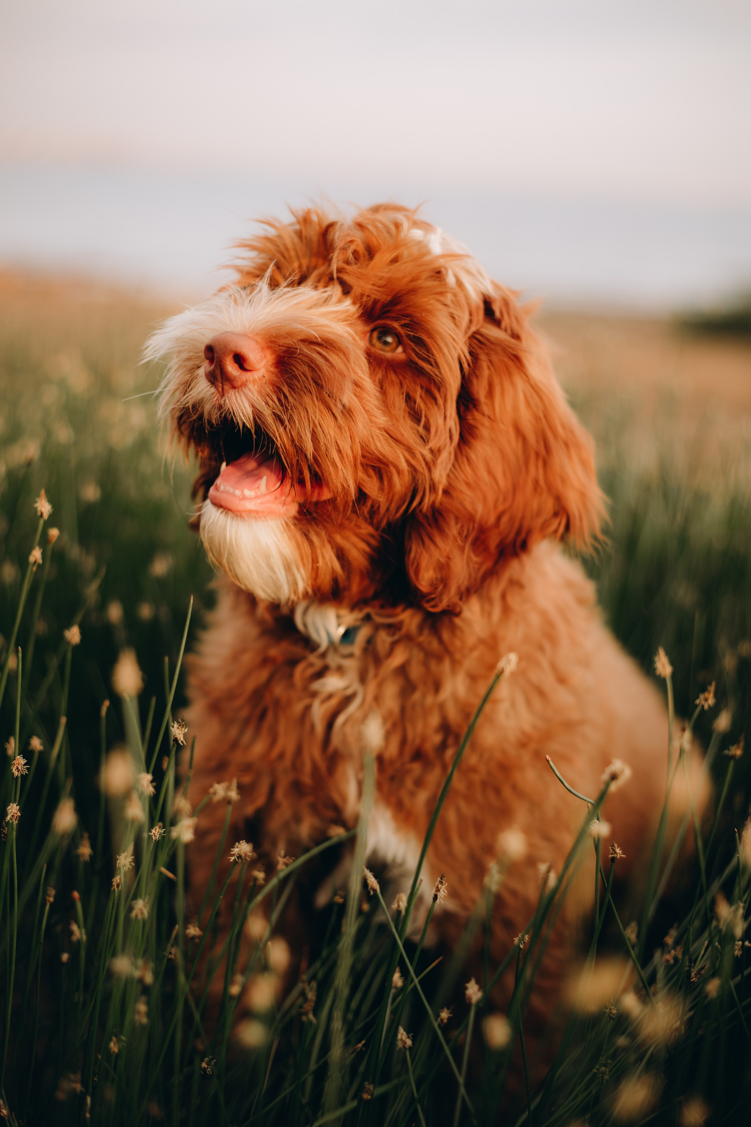 Анастасия и Тео. Фотограф Юлия Попова — JP Creative — хранитель семейной хроники в Петербурге