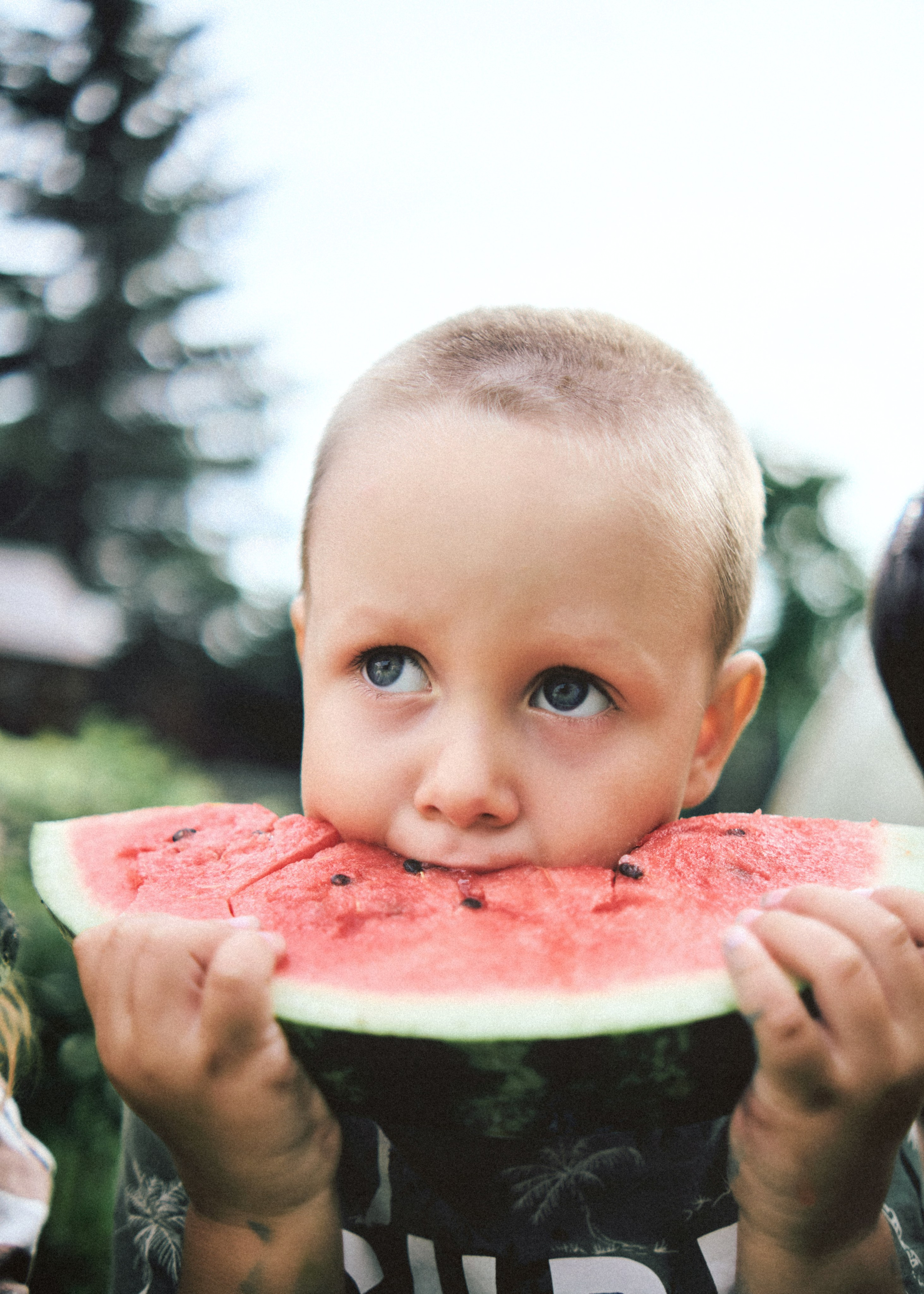 Банда. SHILOVA PHOTO. Шилова Екатерина. Фотограф. Москва