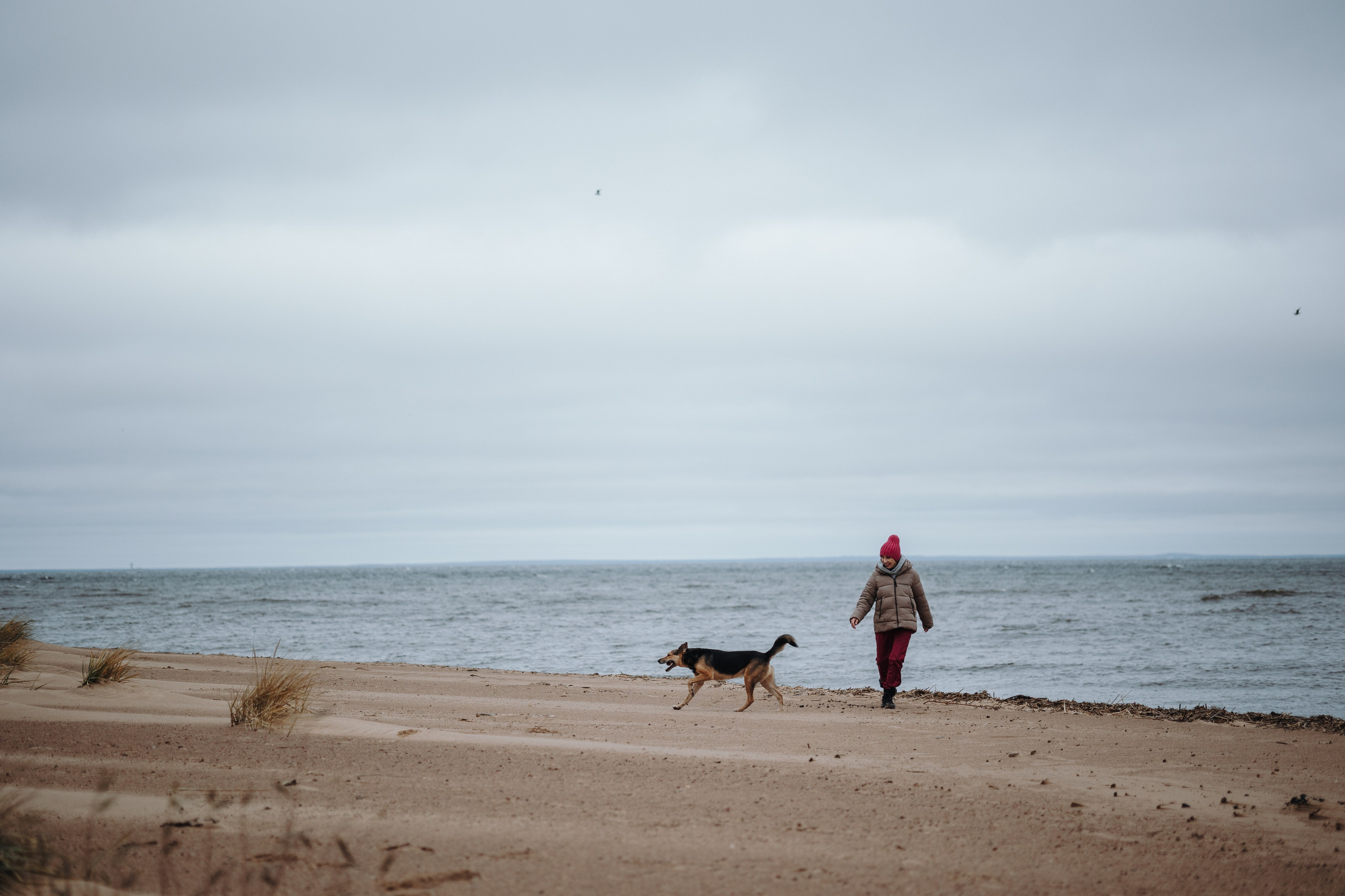 Наталья и Того. Фотограф — Анималист | Санкт-Петербург