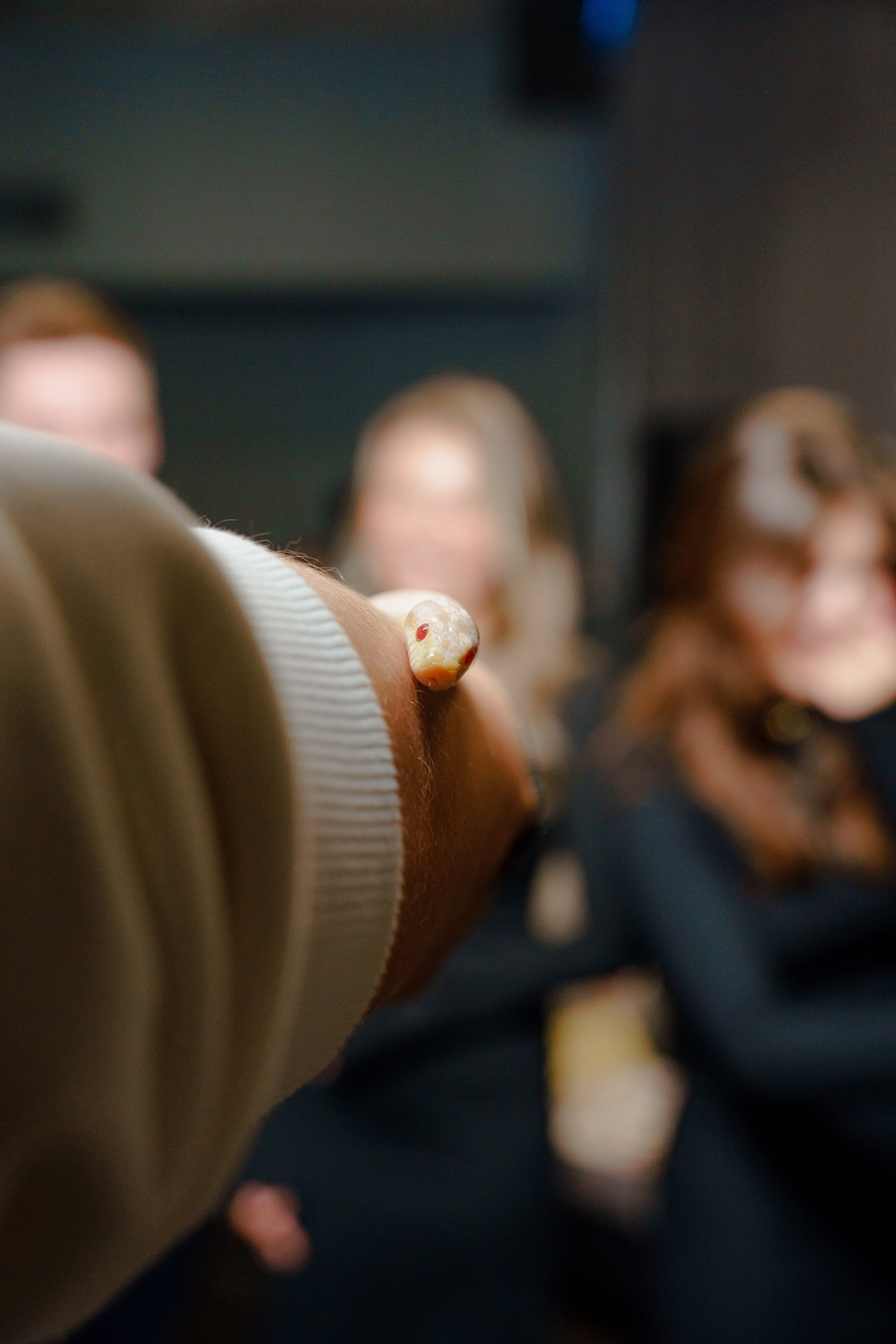 Репортажный фотограф на день рождения в Москве. Репортажный фотограф Москва Сергей Дружинин