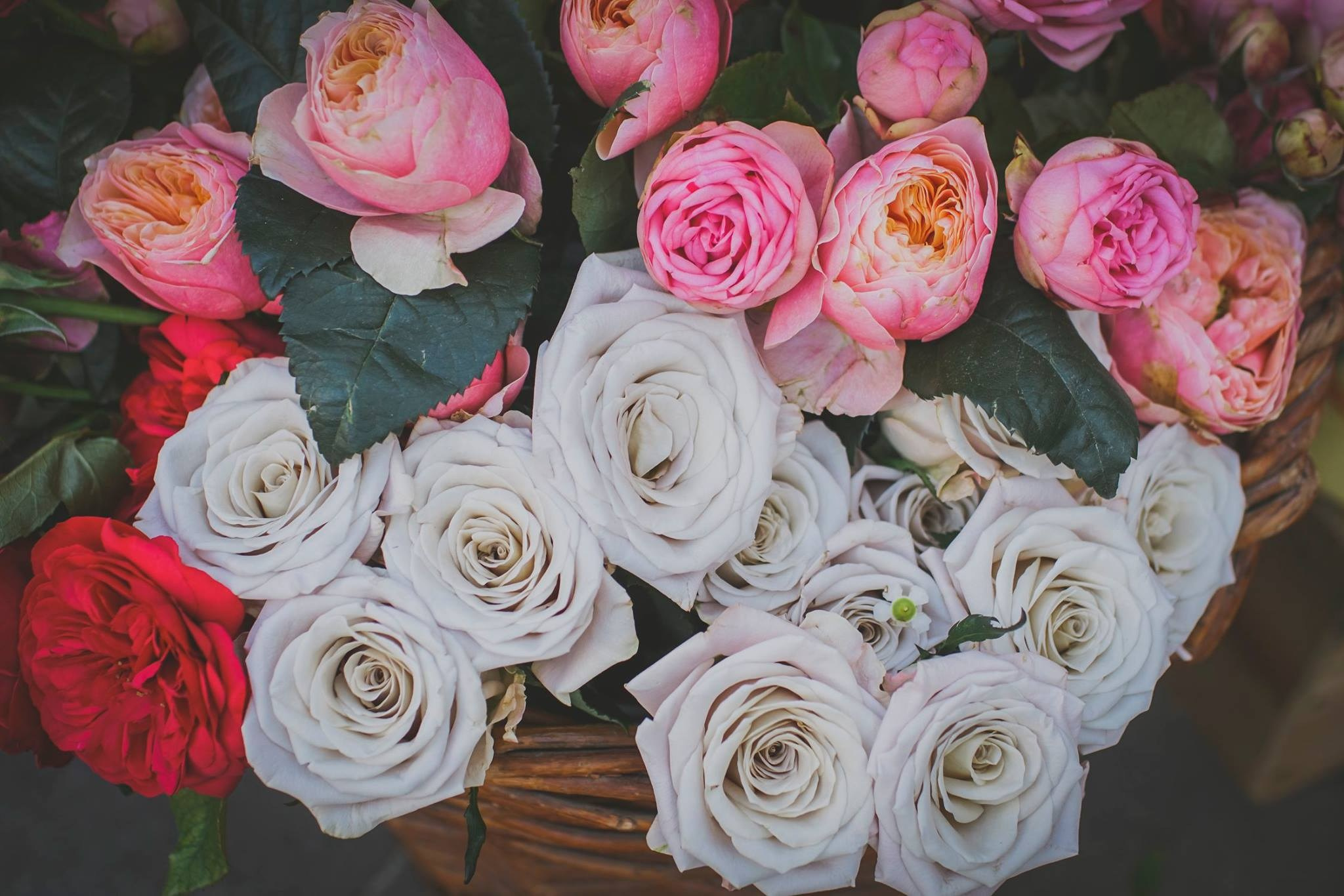 17 июля 2016 на Стрелке / фото Лена Стребкова. Фотоотчеты «Ламбада-маркета»